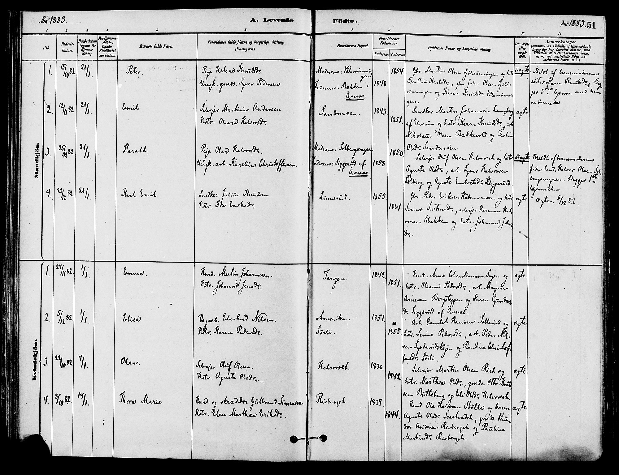 Våler prestekontor, Hedmark, AV/SAH-PREST-040/H/Ha/Haa/L0002: Parish register (official) no. 3, 1879-1911, p. 51