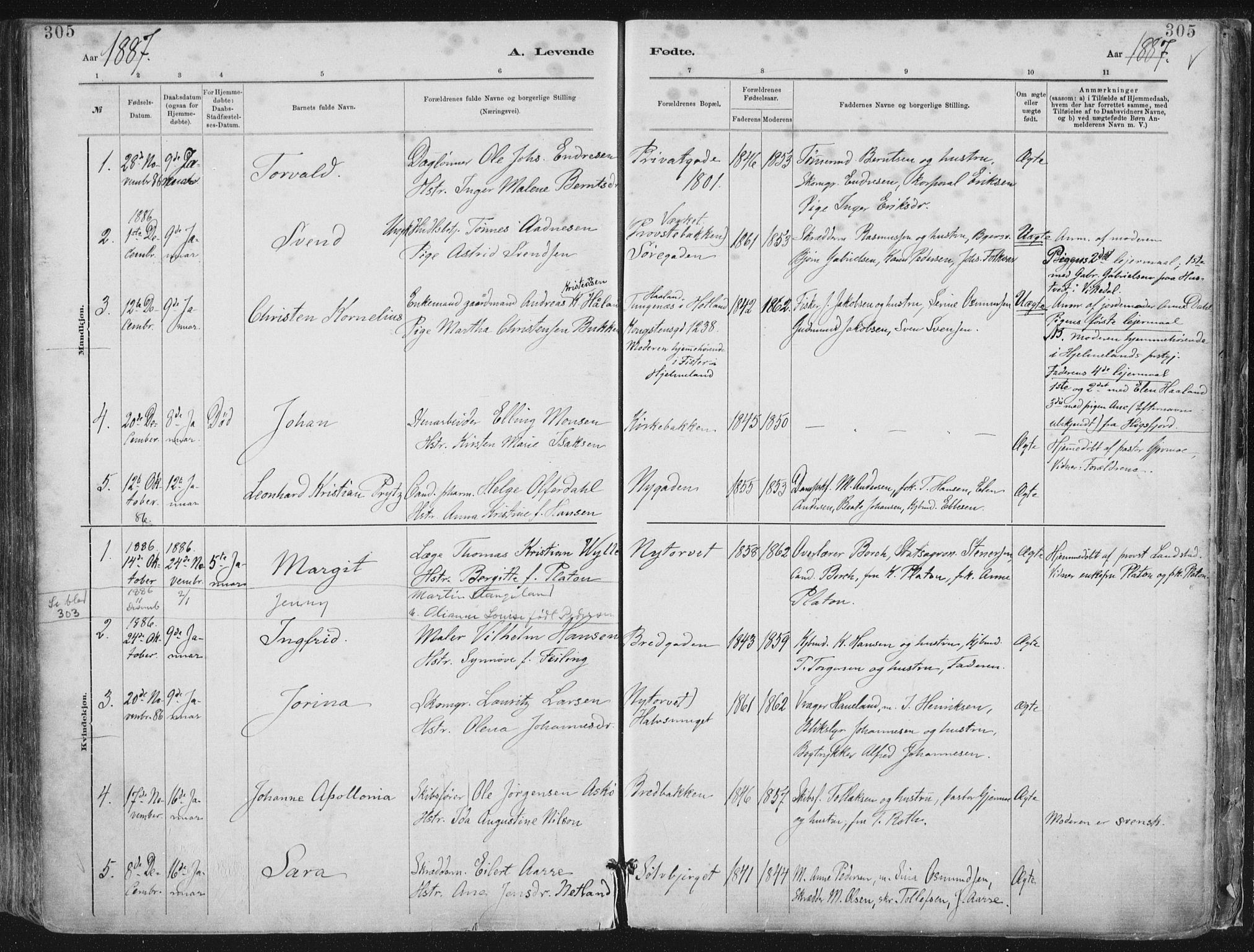 St. Petri sokneprestkontor, AV/SAST-A-101813/001/30/30BA/L0015: Parish register (official) no. A 15, 1879-1888, p. 305