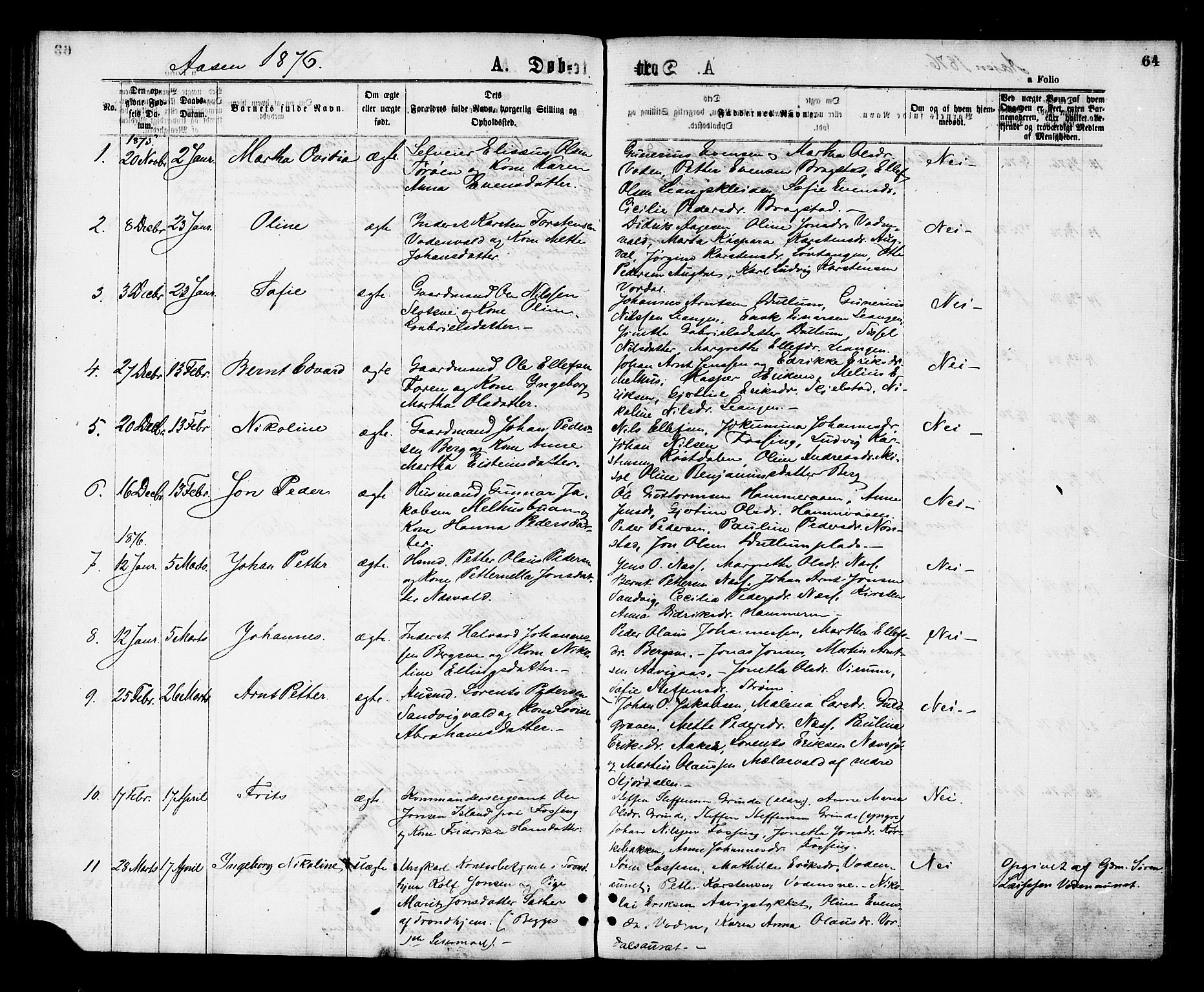 Ministerialprotokoller, klokkerbøker og fødselsregistre - Nord-Trøndelag, AV/SAT-A-1458/713/L0118: Parish register (official) no. 713A08 /2, 1875-1877, p. 64