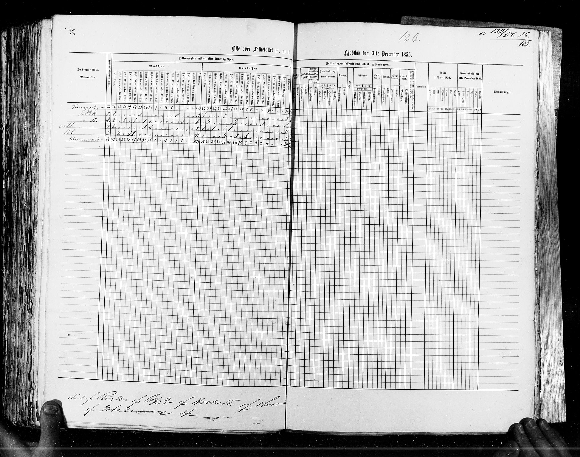 RA, Census 1855, vol. 7: Fredrikshald-Kragerø, 1855, p. 165