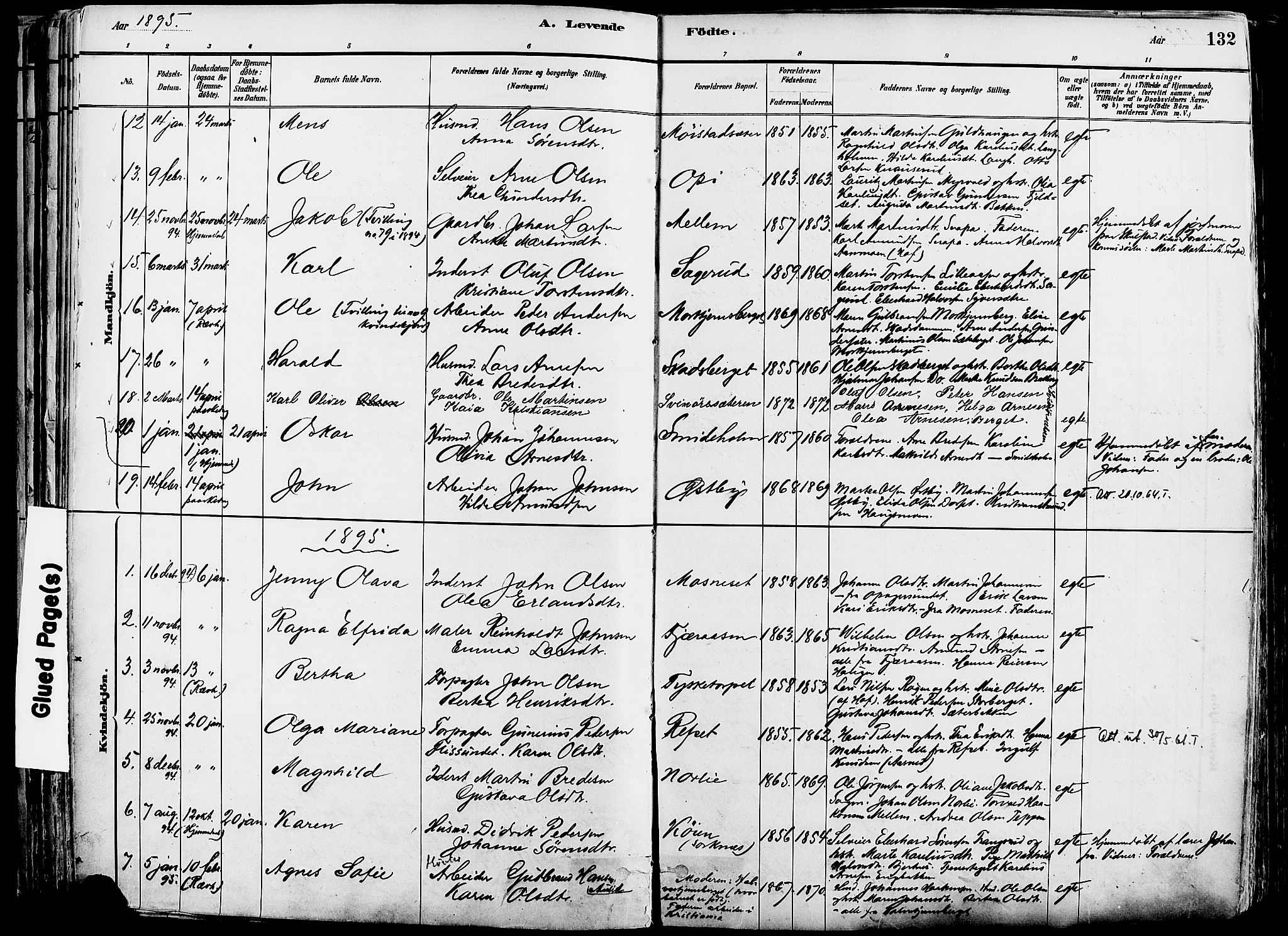 Grue prestekontor, SAH/PREST-036/H/Ha/Haa/L0012: Parish register (official) no. 12, 1881-1897, p. 132