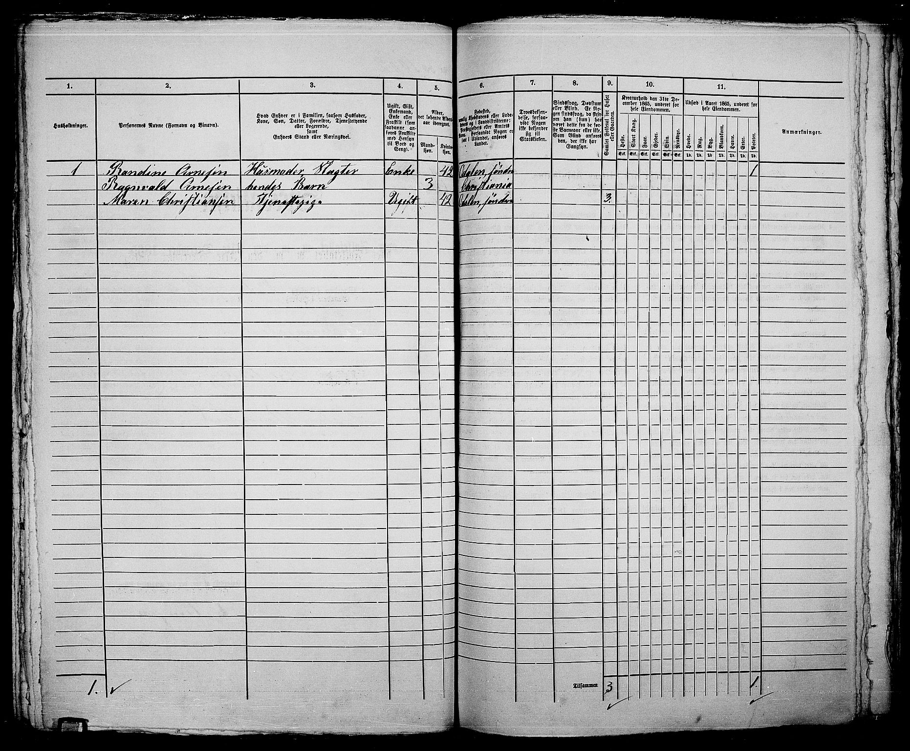 RA, 1865 census for Kristiania, 1865, p. 4257