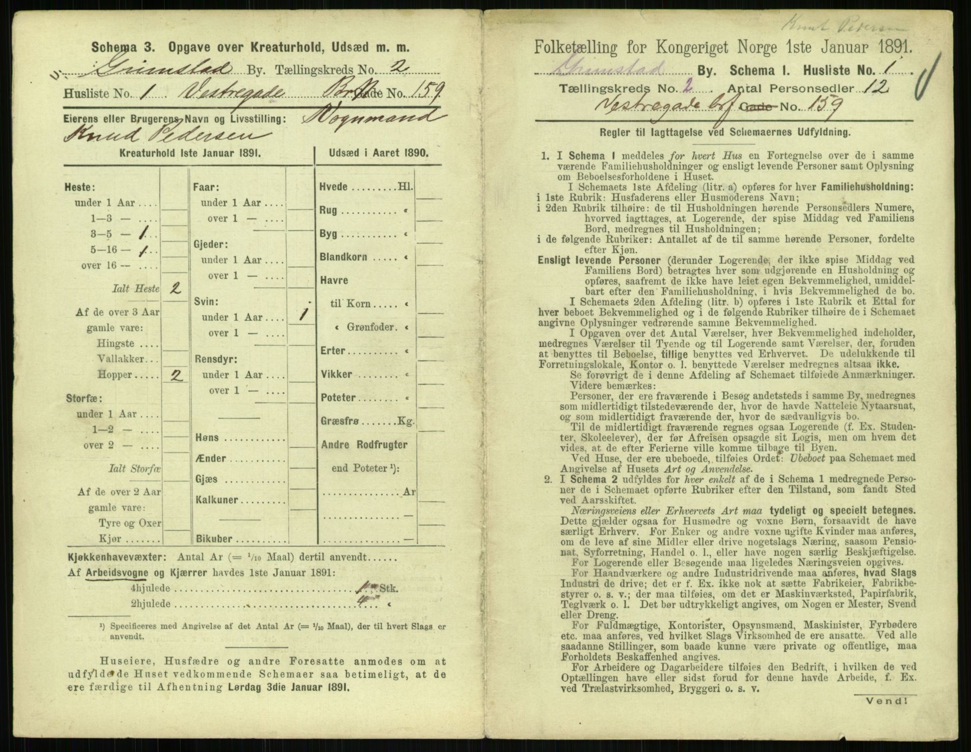 RA, 1891 census for 0904 Grimstad, 1891, p. 156