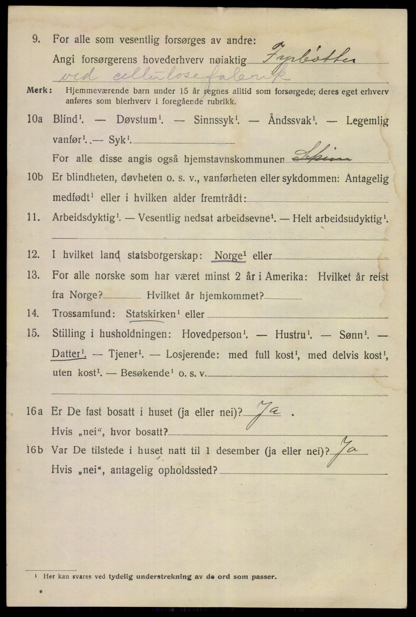SAKO, 1920 census for Skien, 1920, p. 21797