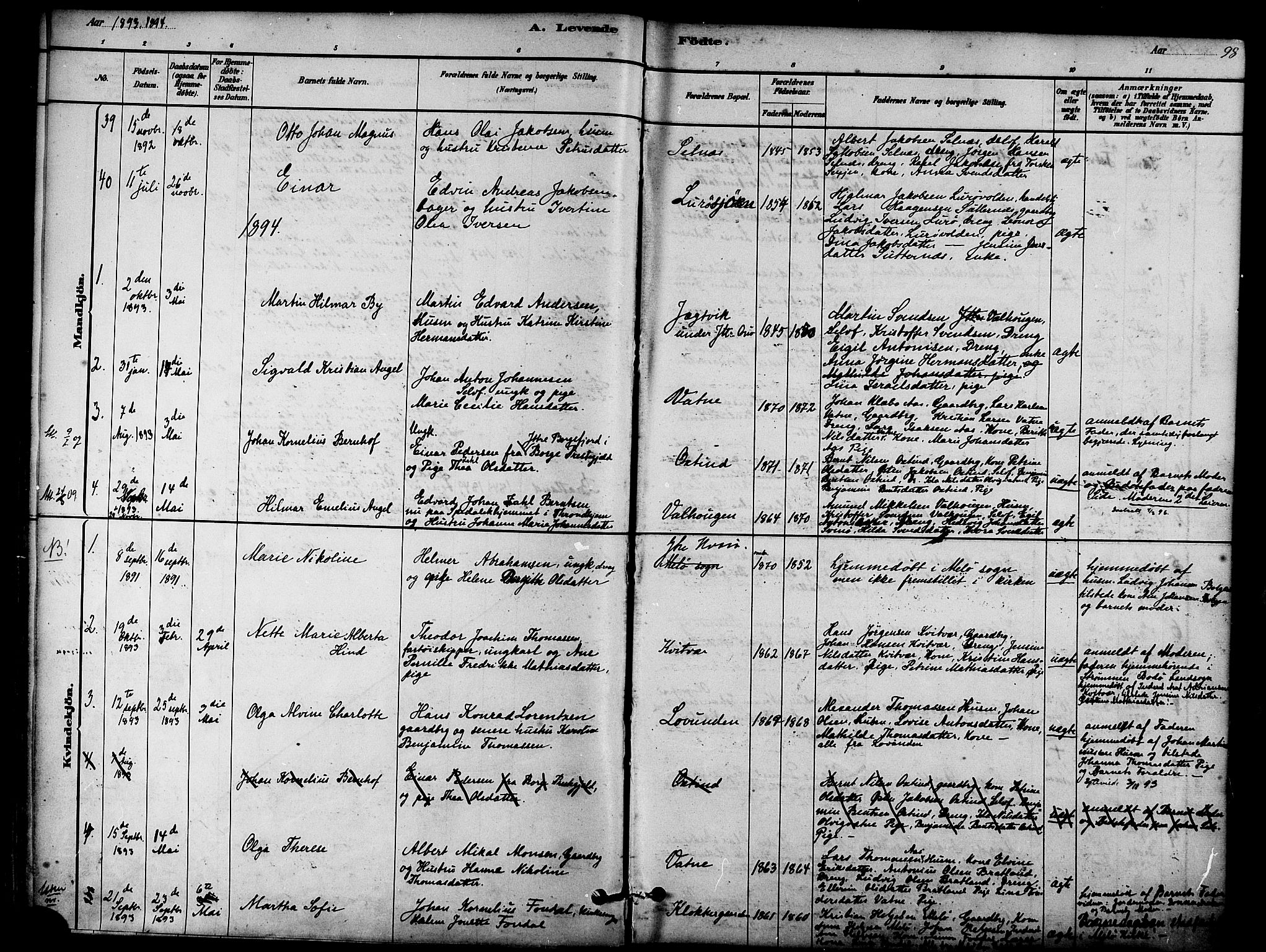 Ministerialprotokoller, klokkerbøker og fødselsregistre - Nordland, SAT/A-1459/839/L0568: Parish register (official) no. 839A05, 1880-1902, p. 98