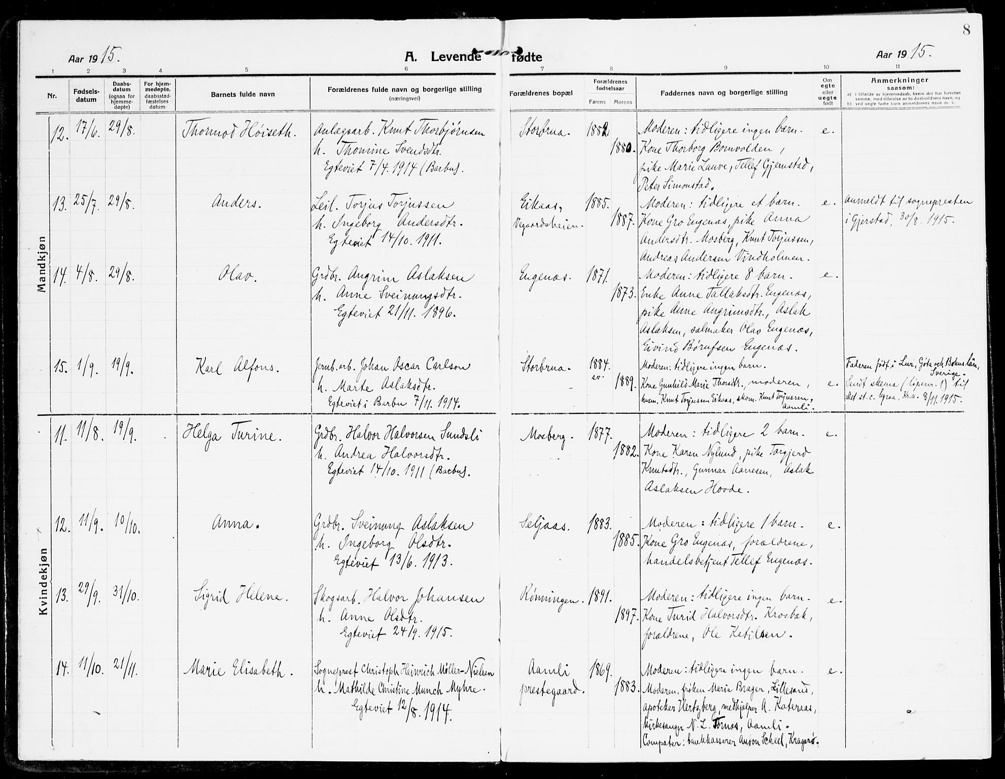 Åmli sokneprestkontor, AV/SAK-1111-0050/F/Fa/Fac/L0013: Parish register (official) no. A 13, 1914-1933, p. 8