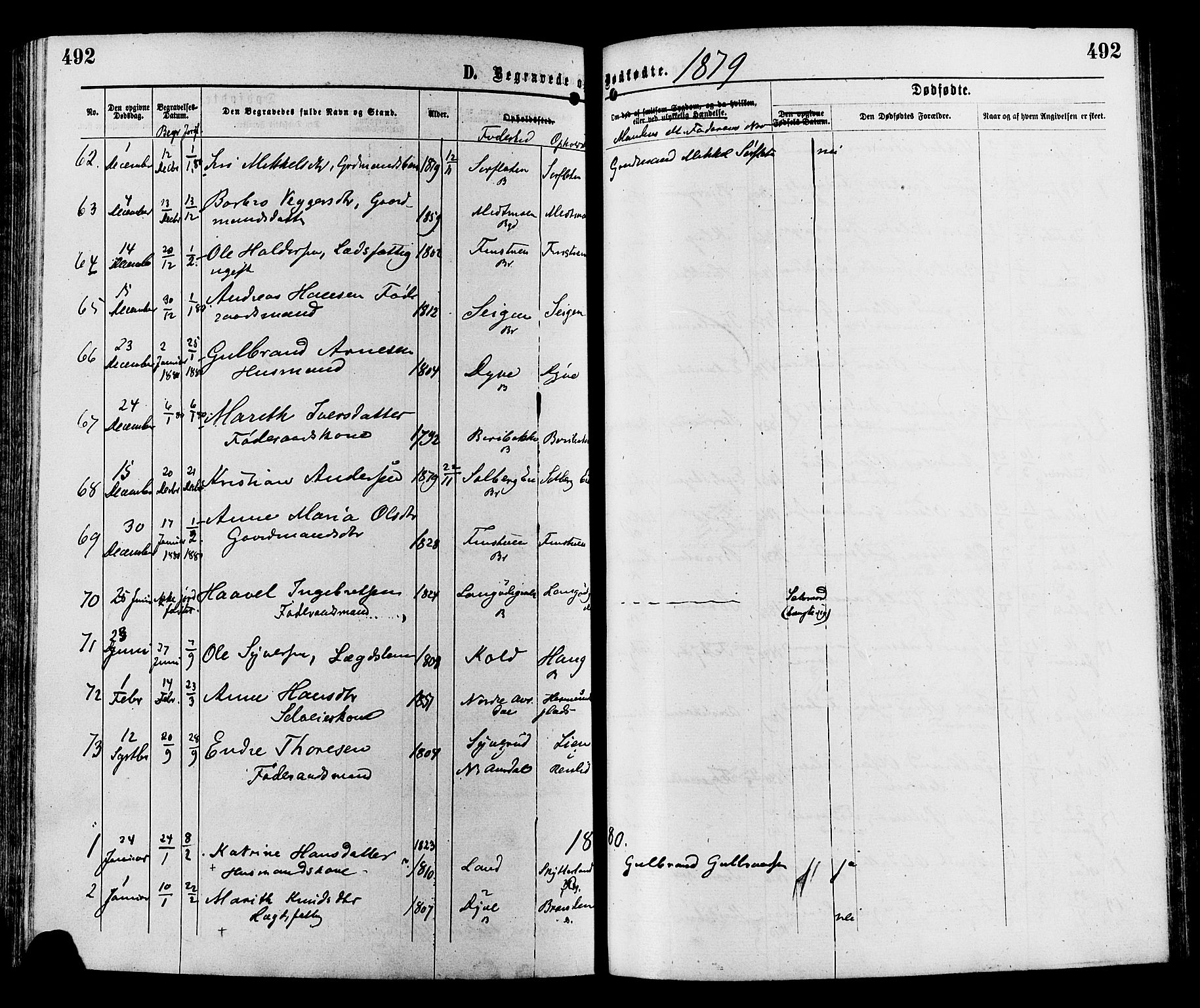 Sør-Aurdal prestekontor, SAH/PREST-128/H/Ha/Haa/L0008: Parish register (official) no. 8, 1877-1885, p. 492