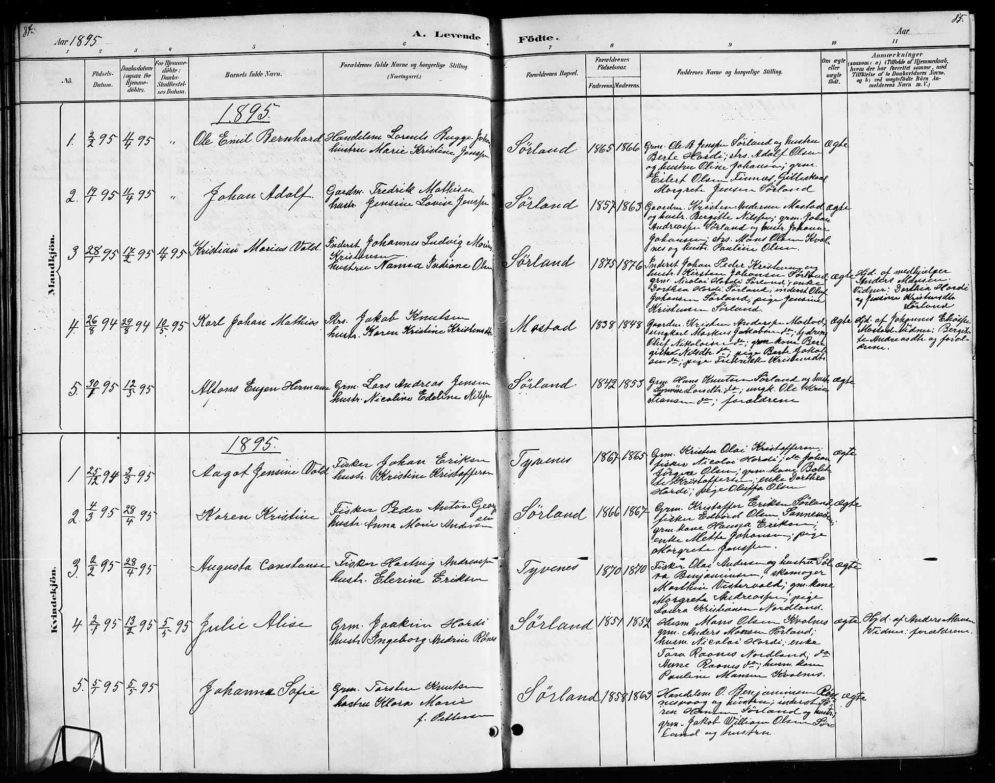 Ministerialprotokoller, klokkerbøker og fødselsregistre - Nordland, AV/SAT-A-1459/807/L0123: Parish register (copy) no. 807C01, 1884-1910, p. 84-85