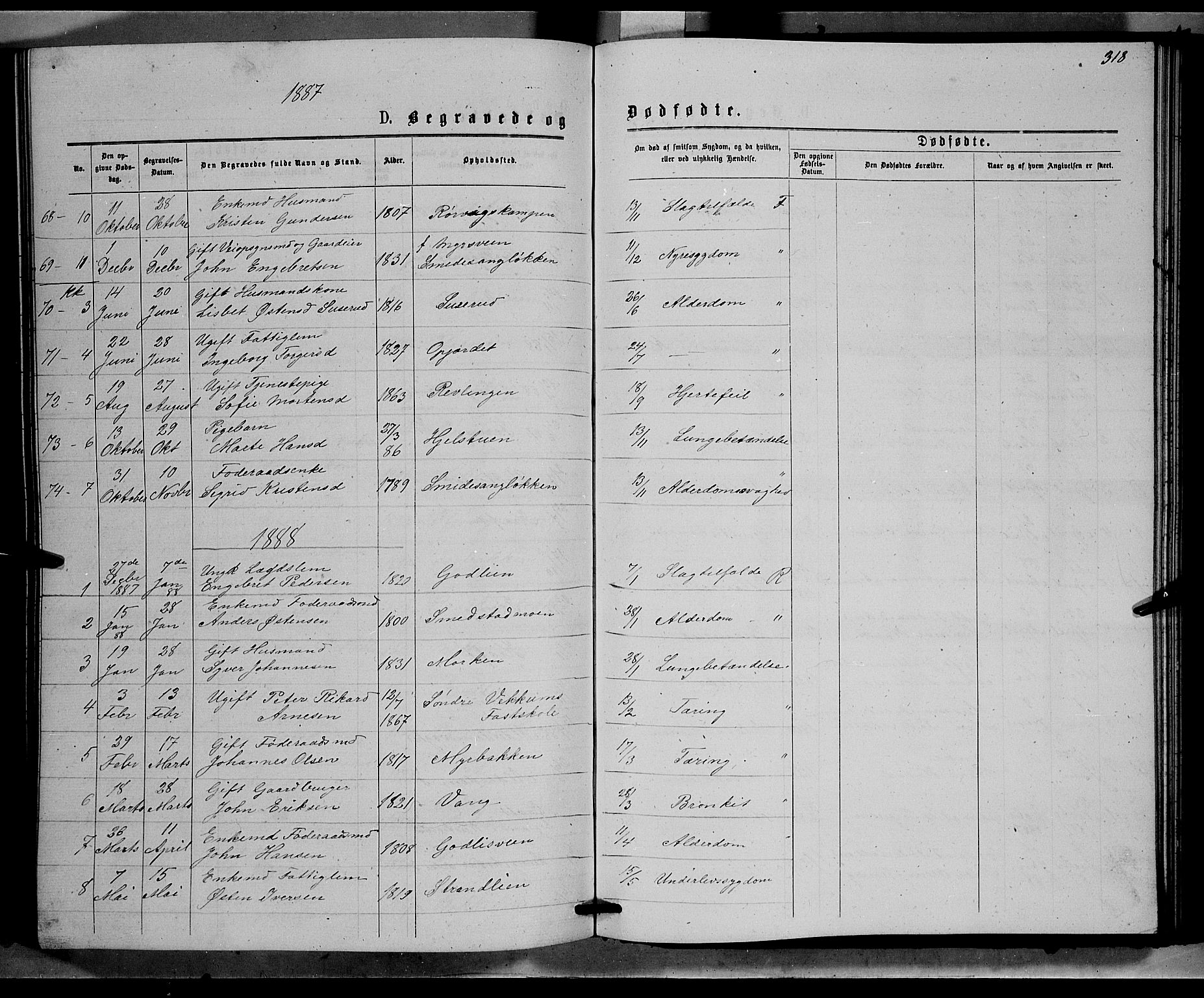 Ringebu prestekontor, AV/SAH-PREST-082/H/Ha/Hab/L0006: Parish register (copy) no. 6, 1880-1898, p. 318