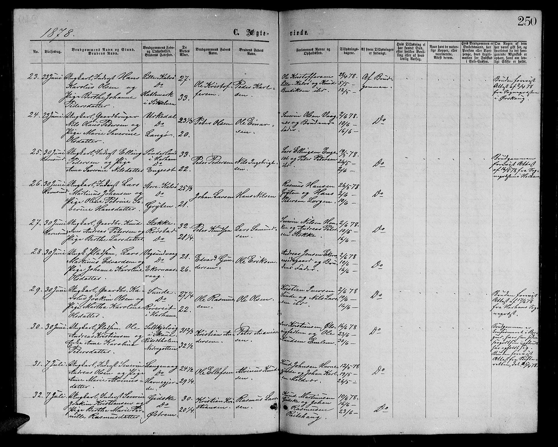 Ministerialprotokoller, klokkerbøker og fødselsregistre - Møre og Romsdal, AV/SAT-A-1454/528/L0428: Parish register (copy) no. 528C09, 1864-1880, p. 250