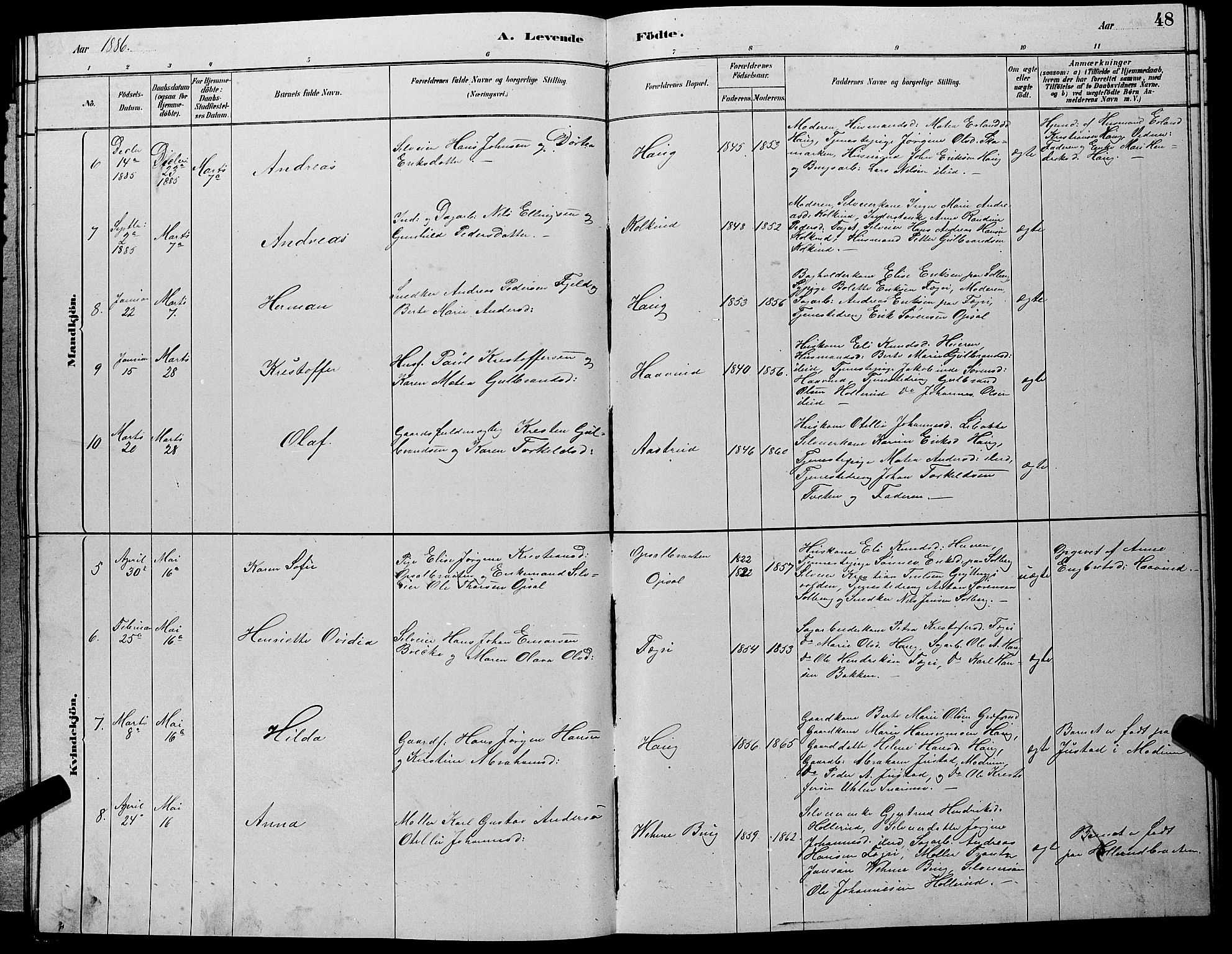 Hole kirkebøker, AV/SAKO-A-228/G/Gb/L0002: Parish register (copy) no. II 2, 1878-1889, p. 48