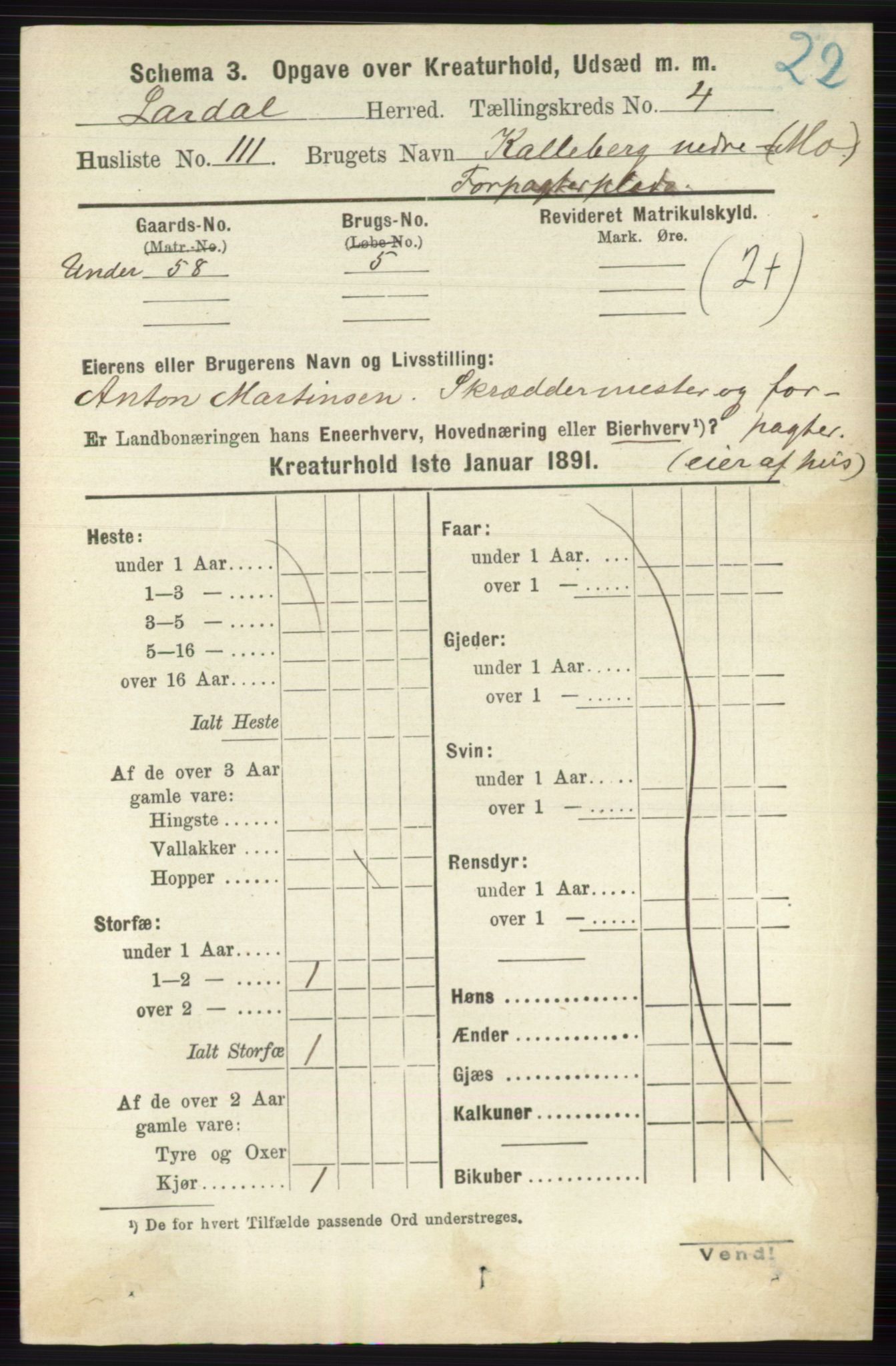 RA, 1891 census for 0728 Lardal, 1891, p. 4025