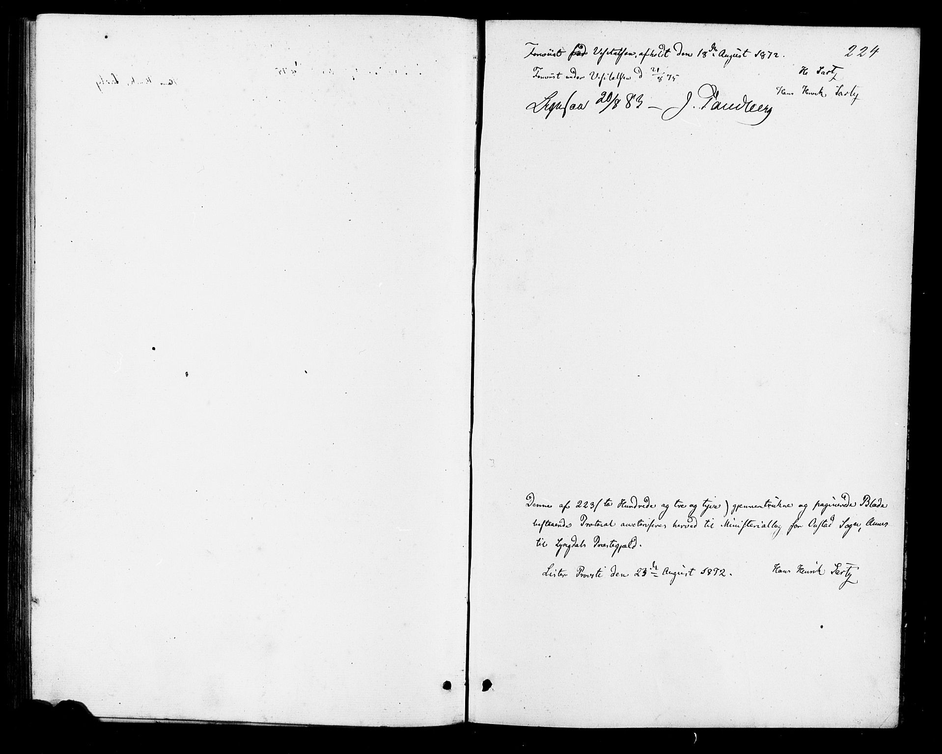 Lyngdal sokneprestkontor, SAK/1111-0029/F/Fa/Faa/L0003: Parish register (official) no. A 3, 1871-1882, p. 224