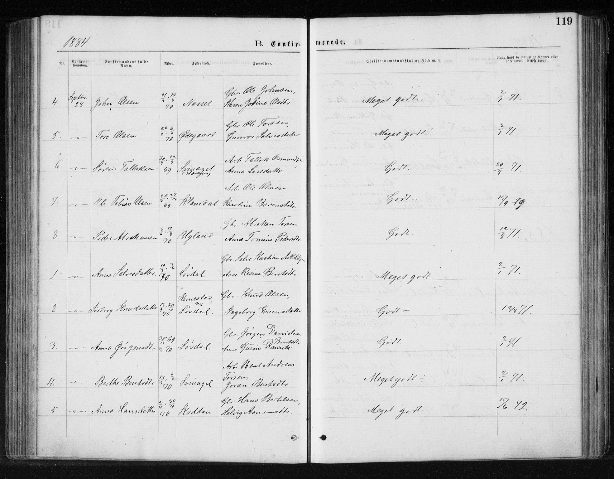 Holum sokneprestkontor, AV/SAK-1111-0022/F/Fb/Fbb/L0003: Parish register (copy) no. B 3, 1875-1898, p. 119