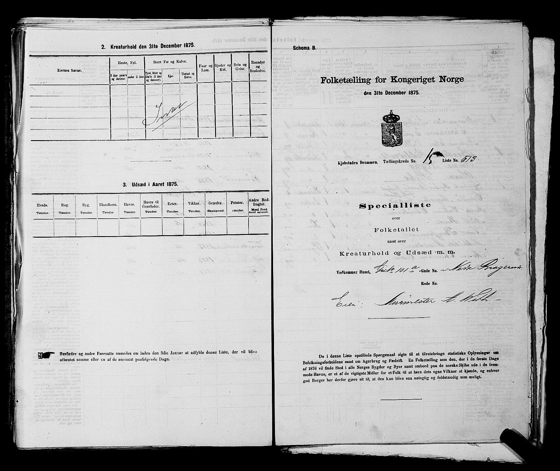 SAKO, 1875 census for 0602 Drammen, 1875, p. 1740