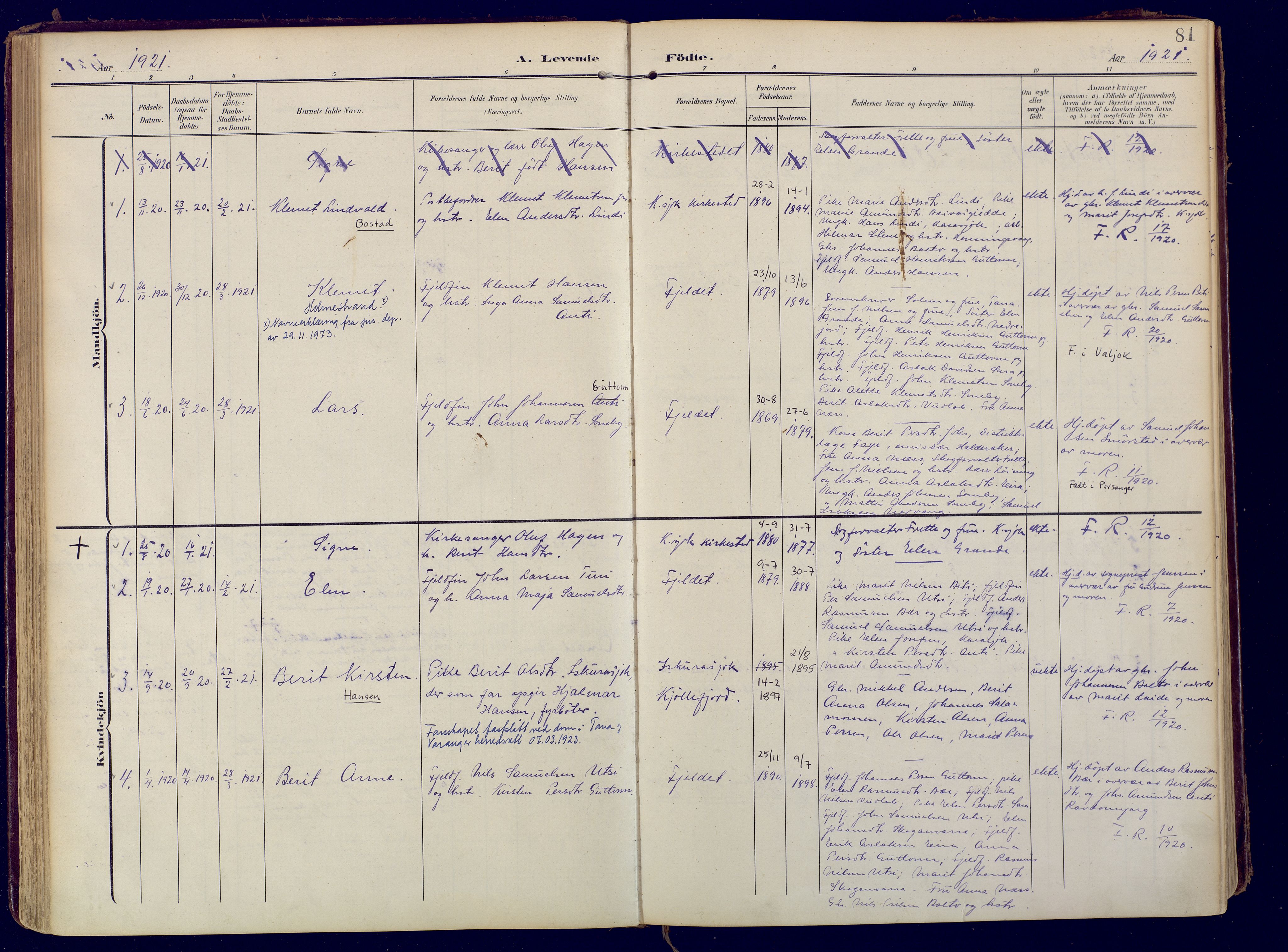 Karasjok sokneprestkontor, AV/SATØ-S-1352/H/Ha: Parish register (official) no. 3, 1907-1926, p. 81