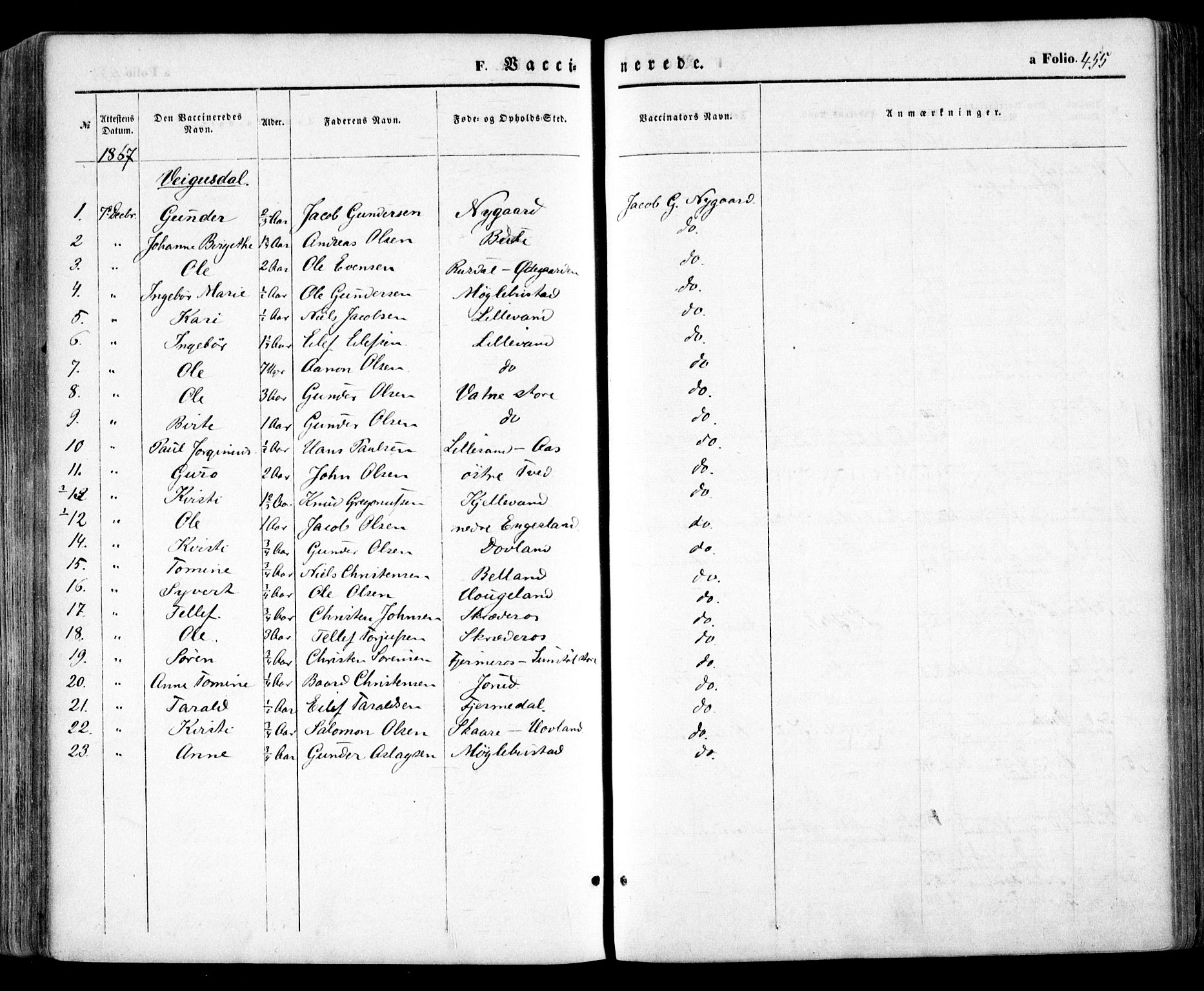 Evje sokneprestkontor, AV/SAK-1111-0008/F/Fa/Faa/L0006: Parish register (official) no. A 6, 1866-1884, p. 455