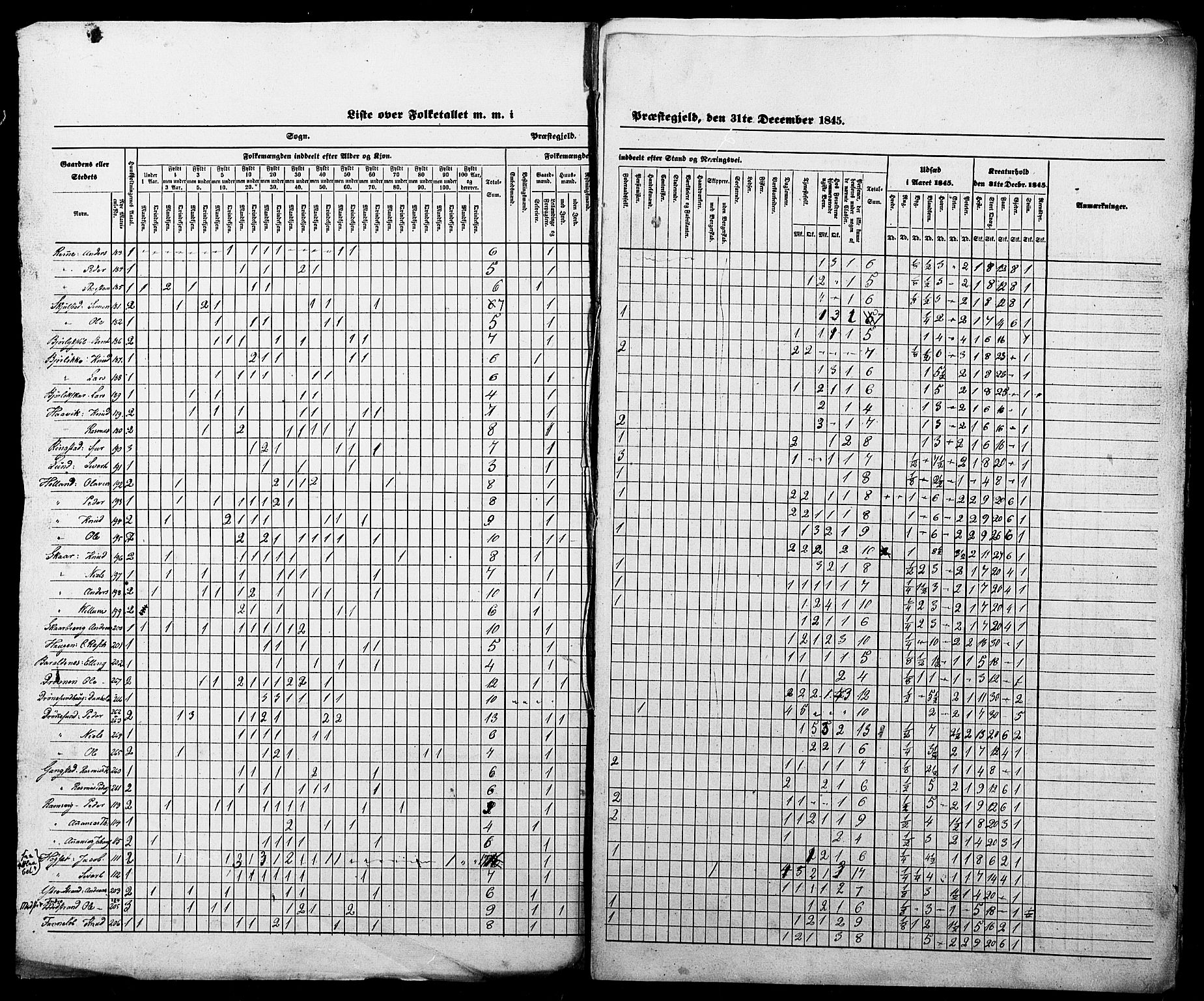 SAT, Census 1845 for Borgund, 1845, p. 47