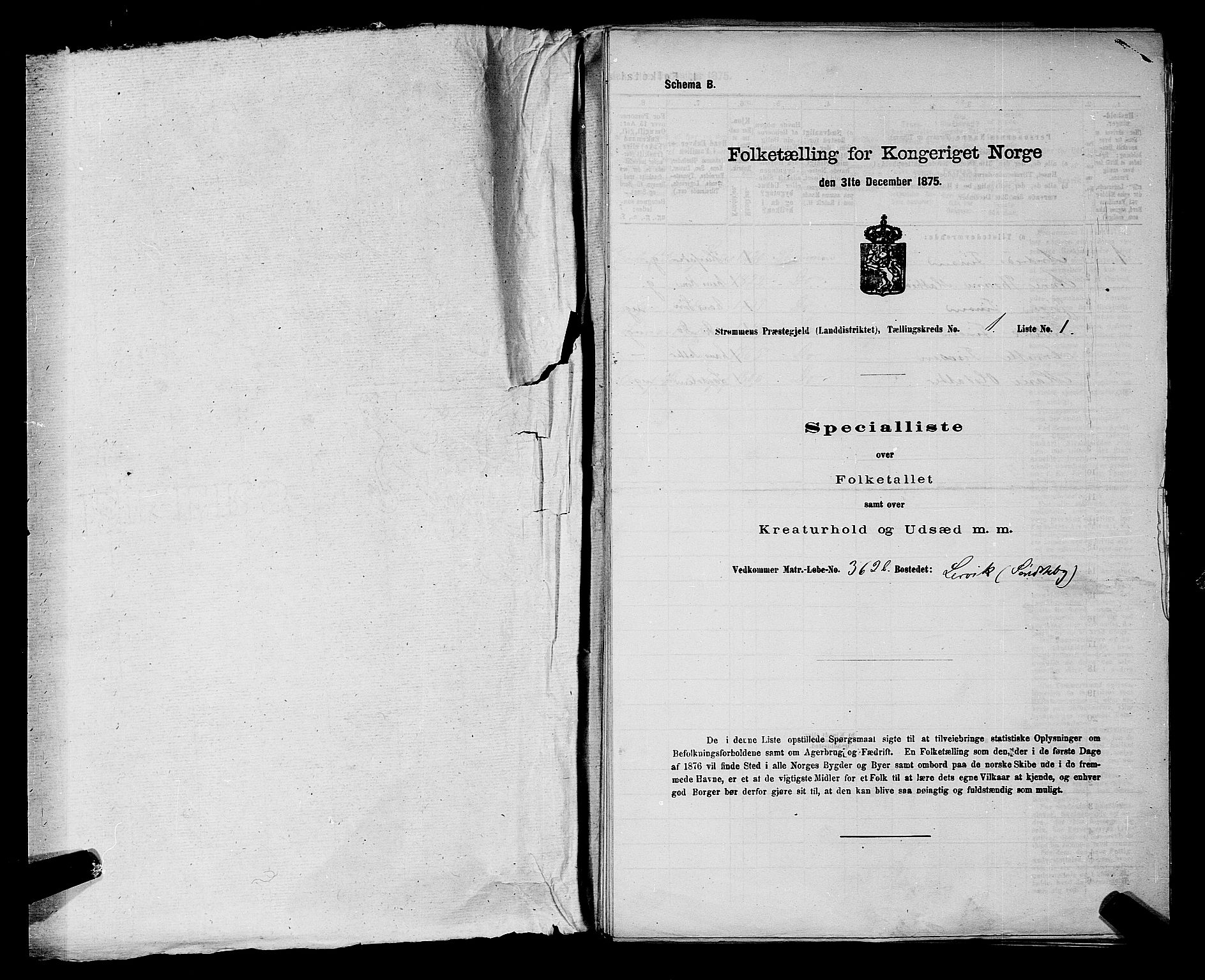 SAKO, 1875 census for 0711L Strømm/Strømm, 1875, p. 20