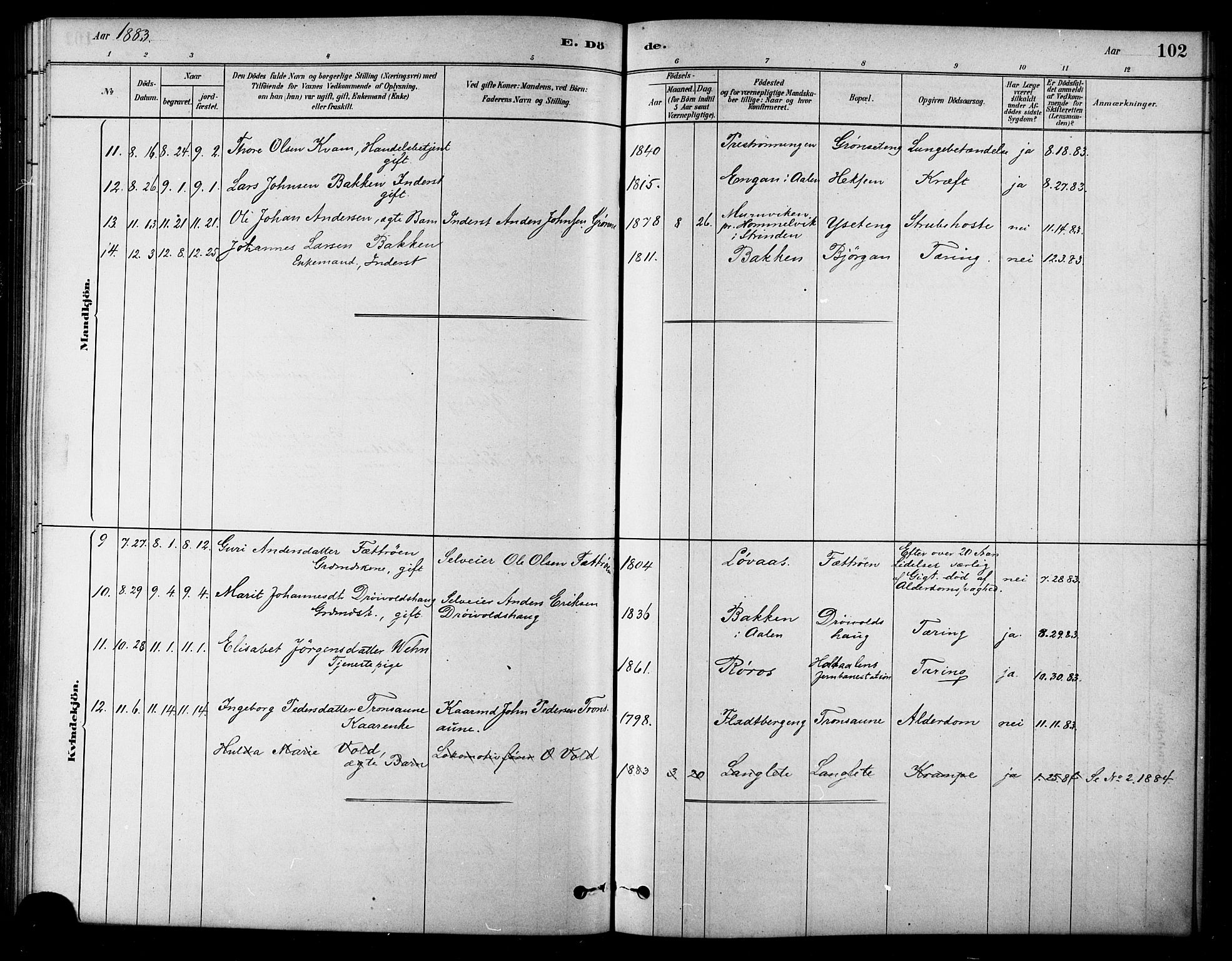 Ministerialprotokoller, klokkerbøker og fødselsregistre - Sør-Trøndelag, AV/SAT-A-1456/685/L0972: Parish register (official) no. 685A09, 1879-1890, p. 102