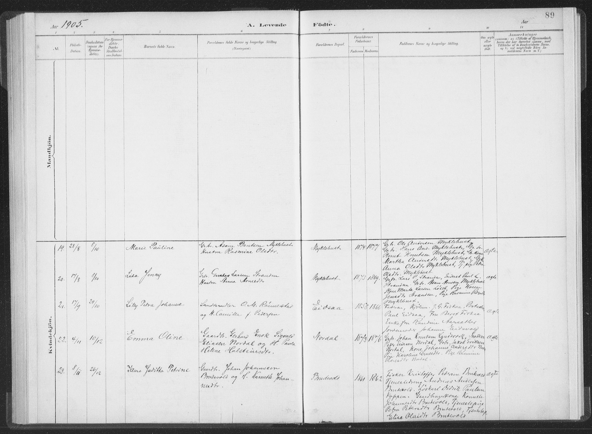 Ministerialprotokoller, klokkerbøker og fødselsregistre - Møre og Romsdal, AV/SAT-A-1454/502/L0025: Parish register (official) no. 502A03, 1885-1909, p. 89