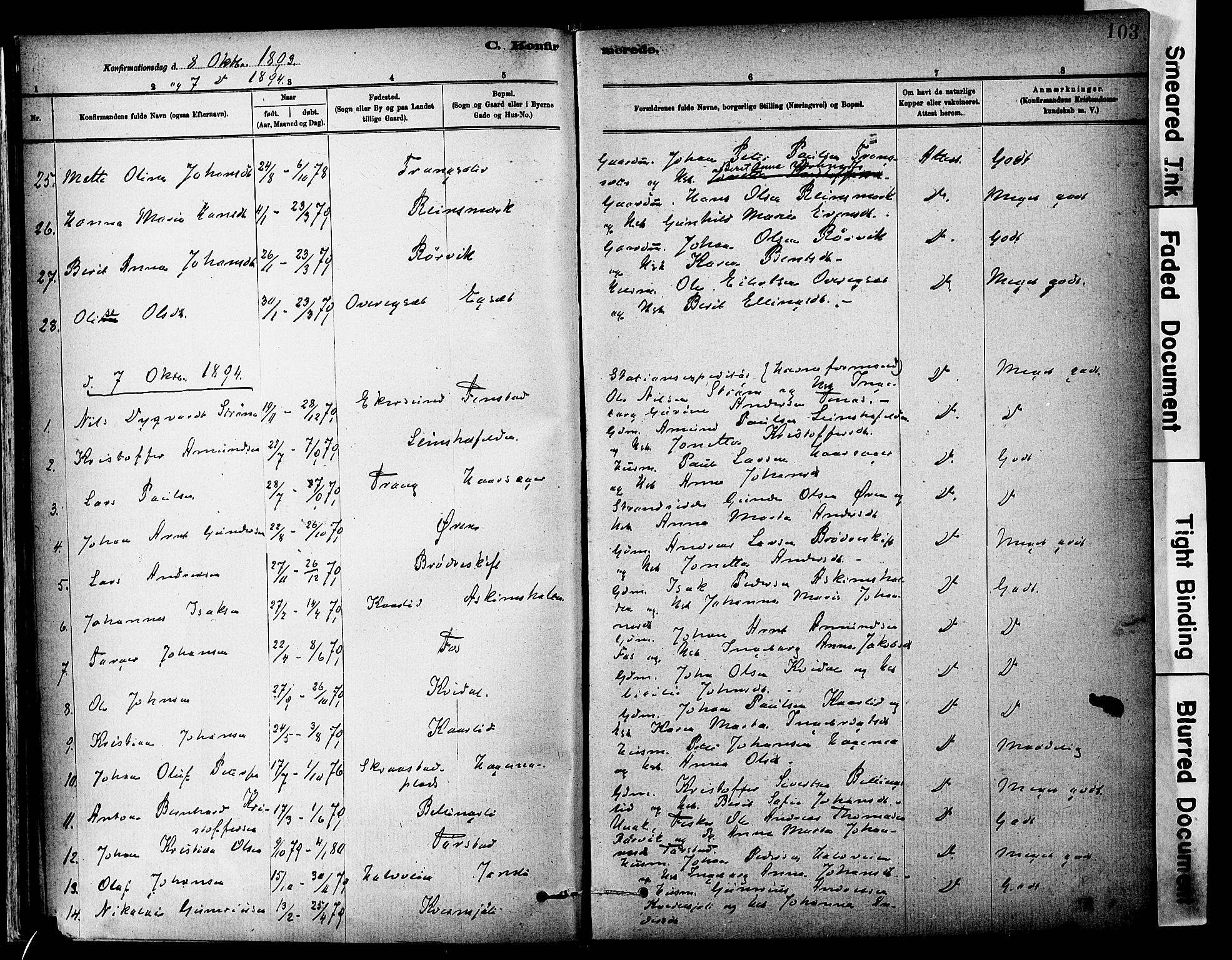 Ministerialprotokoller, klokkerbøker og fødselsregistre - Sør-Trøndelag, SAT/A-1456/646/L0615: Parish register (official) no. 646A13, 1885-1900, p. 103