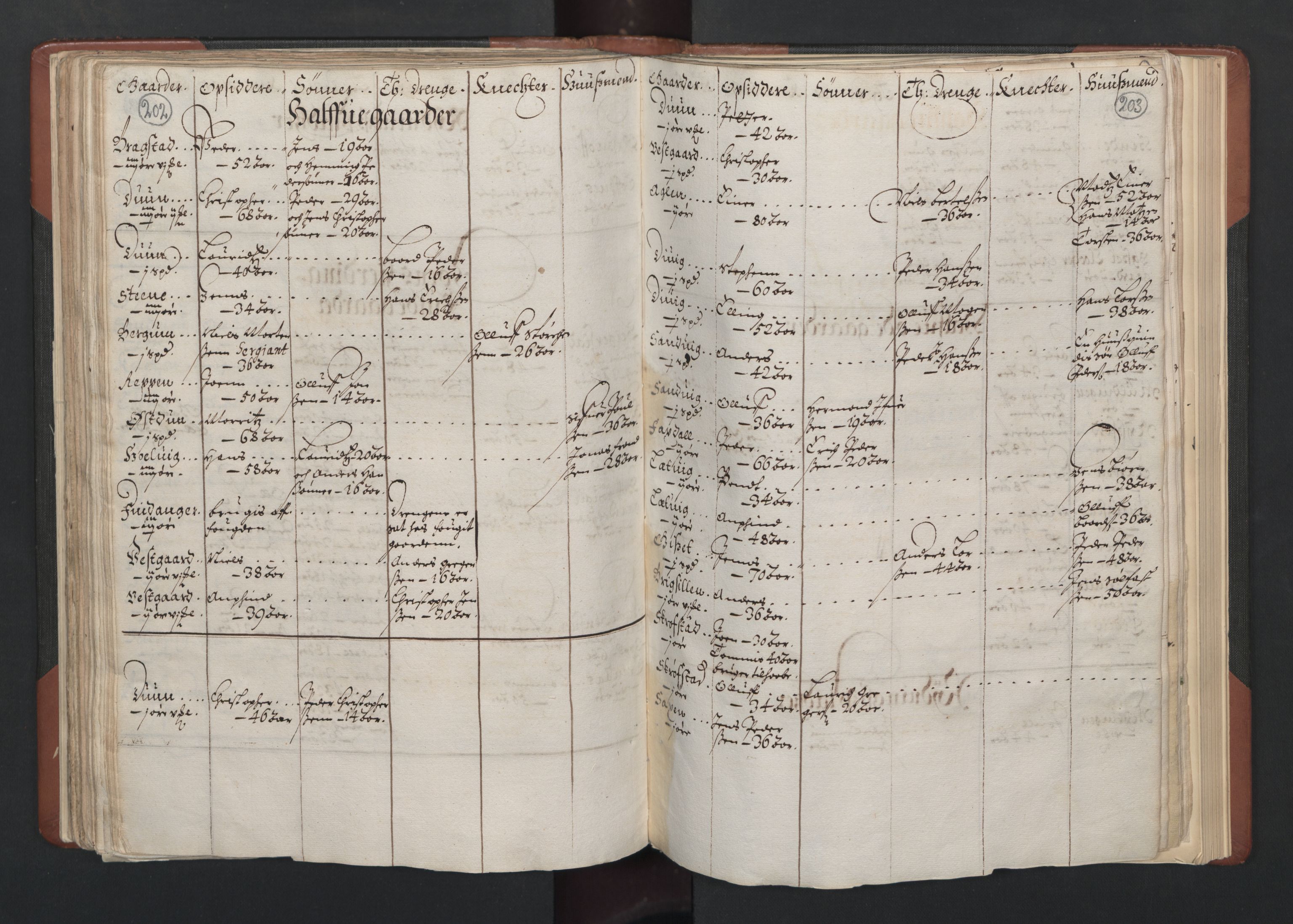 RA, Bailiff's Census 1664-1666, no. 19: Fosen fogderi, Inderøy fogderi, Selbu fogderi, Namdal fogderi and Stjørdal fogderi, 1664-1665, p. 202-203