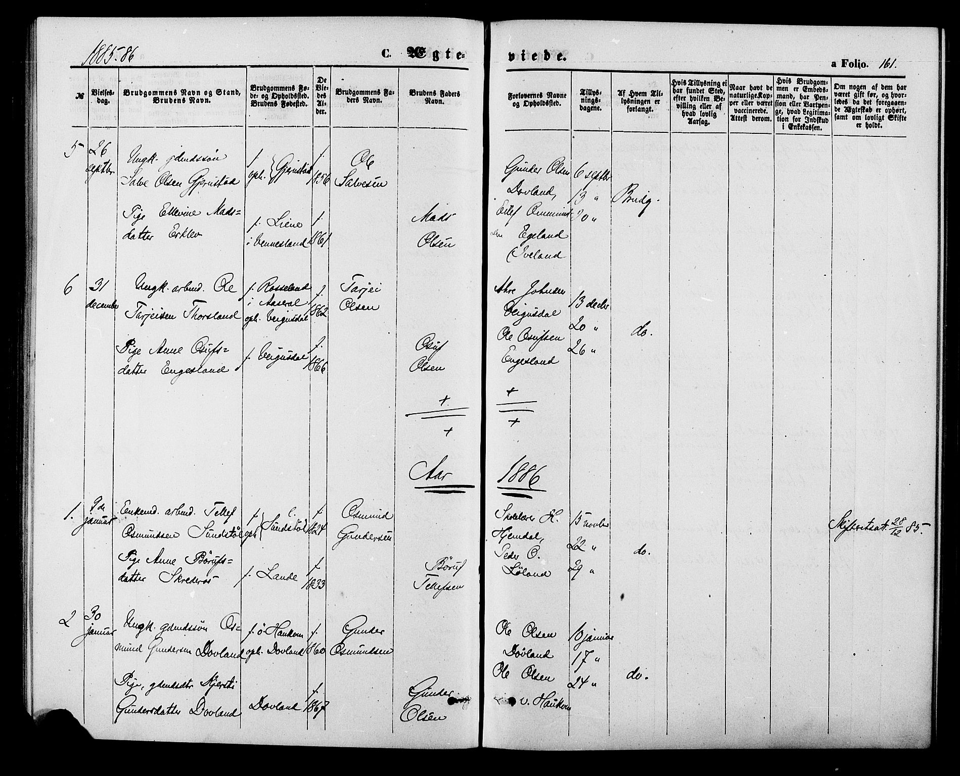 Herefoss sokneprestkontor, SAK/1111-0019/F/Fa/Fab/L0003: Parish register (official) no. A 3, 1875-1886, p. 161