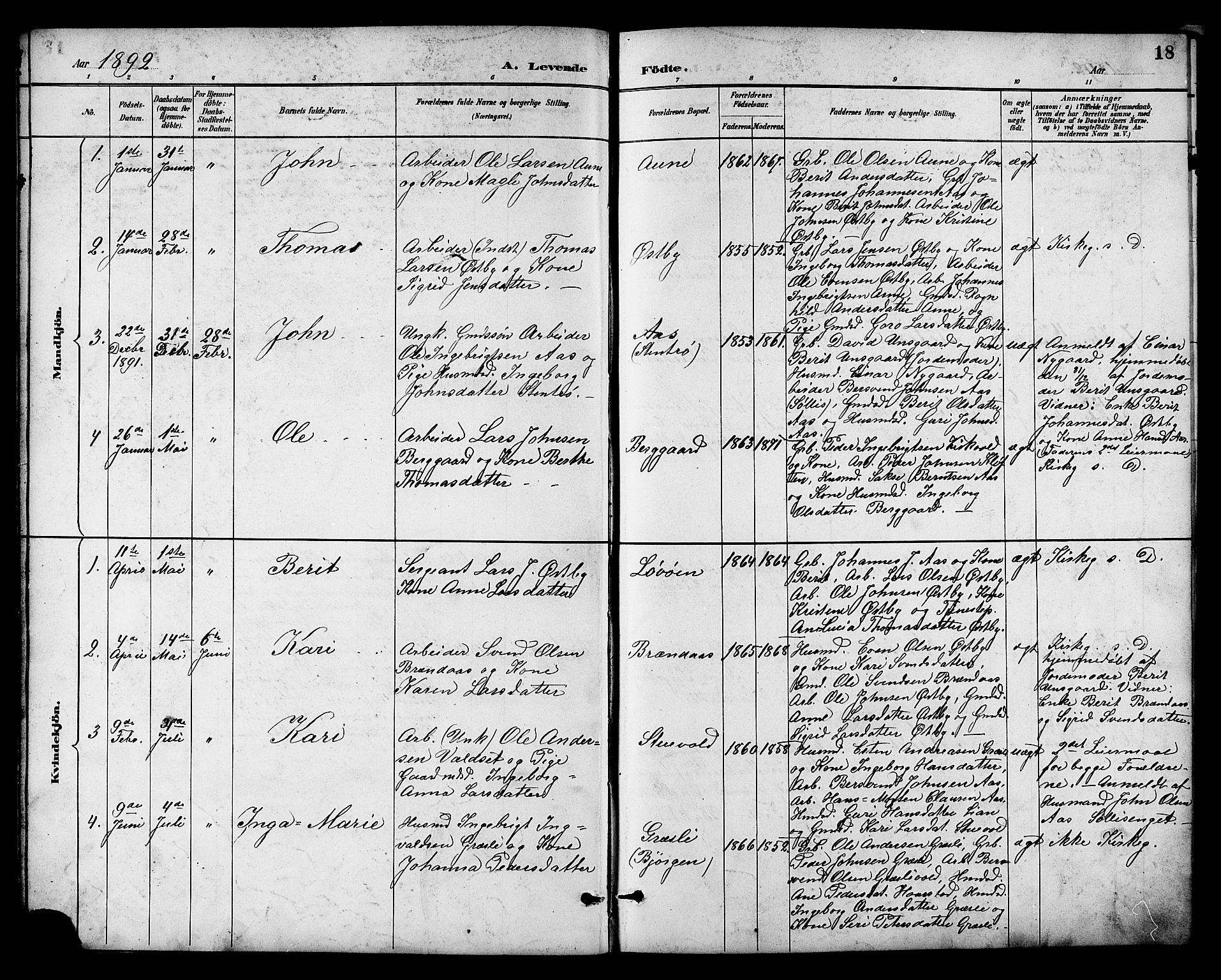 Ministerialprotokoller, klokkerbøker og fødselsregistre - Sør-Trøndelag, AV/SAT-A-1456/698/L1167: Parish register (copy) no. 698C04, 1888-1907, p. 18