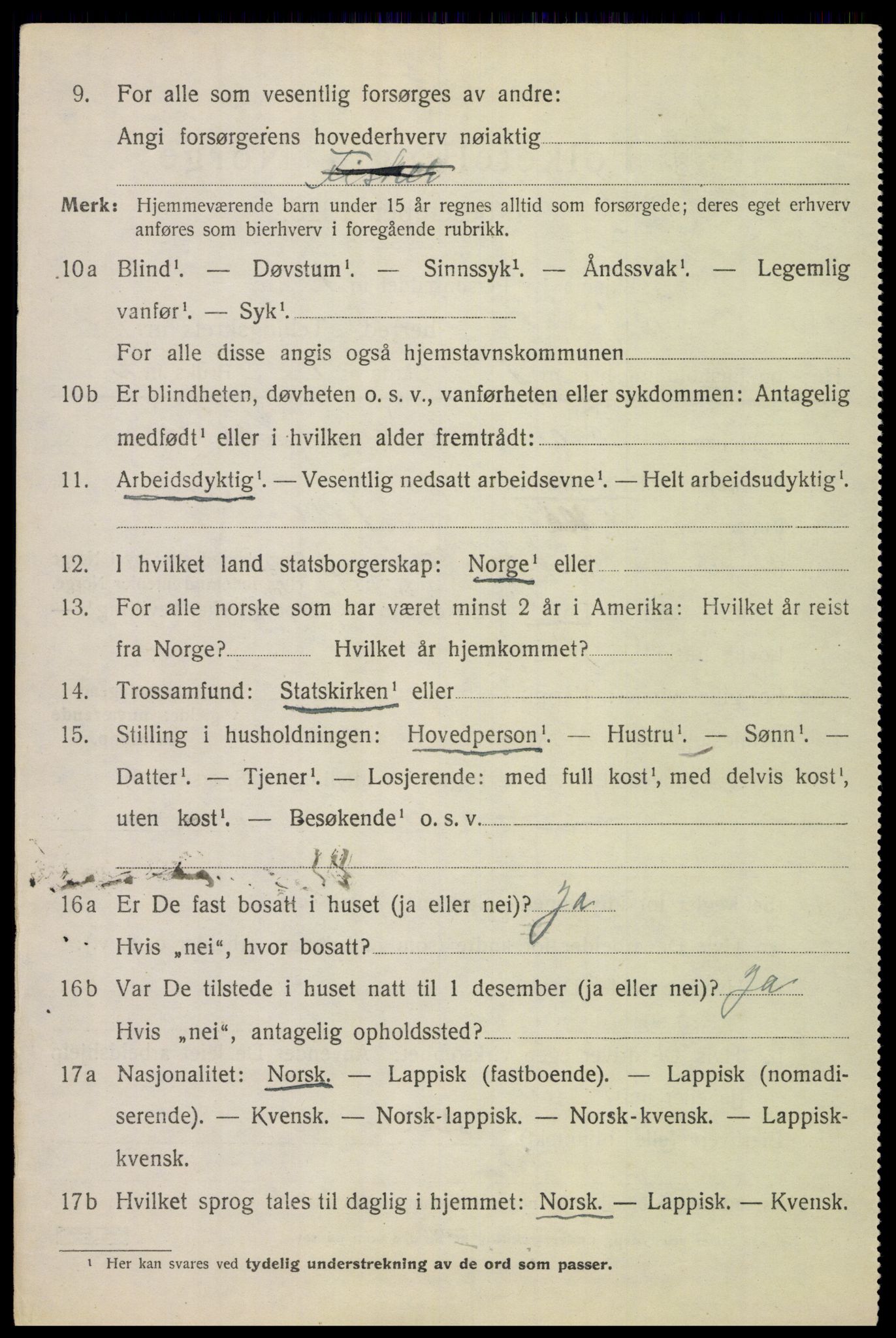 SAT, 1920 census for Tysfjord, 1920, p. 942