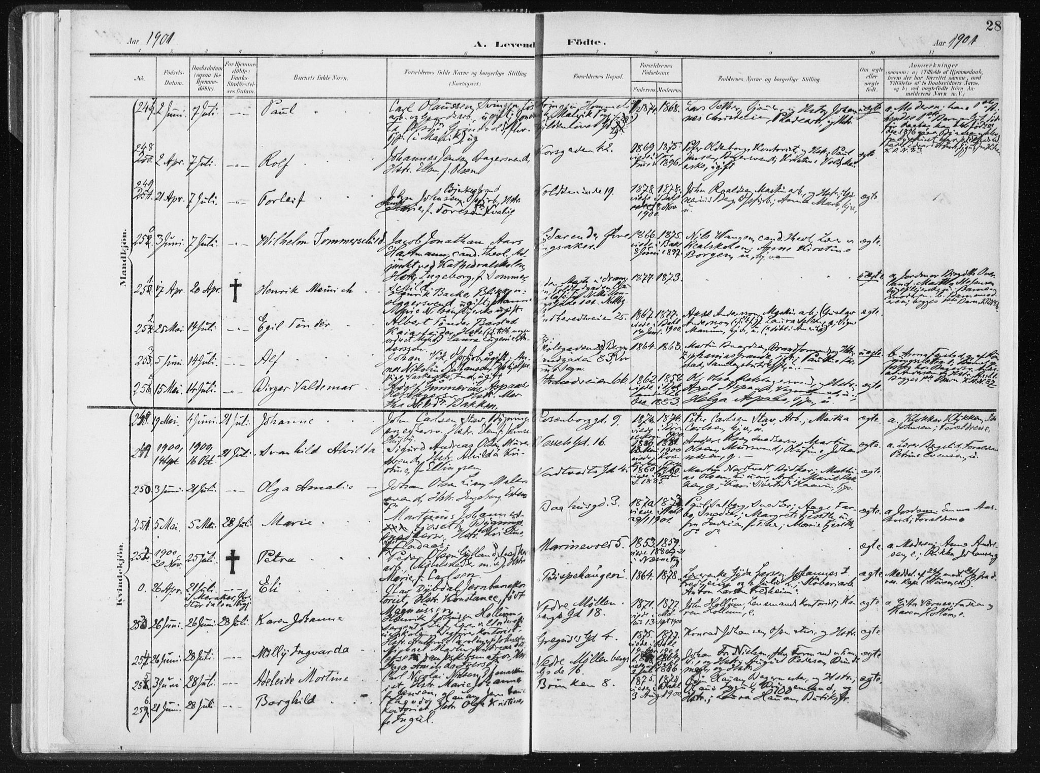 Ministerialprotokoller, klokkerbøker og fødselsregistre - Sør-Trøndelag, SAT/A-1456/604/L0199: Parish register (official) no. 604A20I, 1901-1906, p. 28