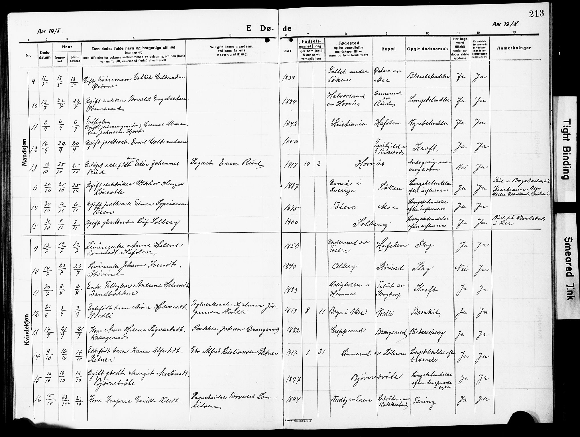 Høland prestekontor Kirkebøker, AV/SAO-A-10346a/G/Ga/L0008: Parish register (copy) no. I 8, 1915-1929, p. 213