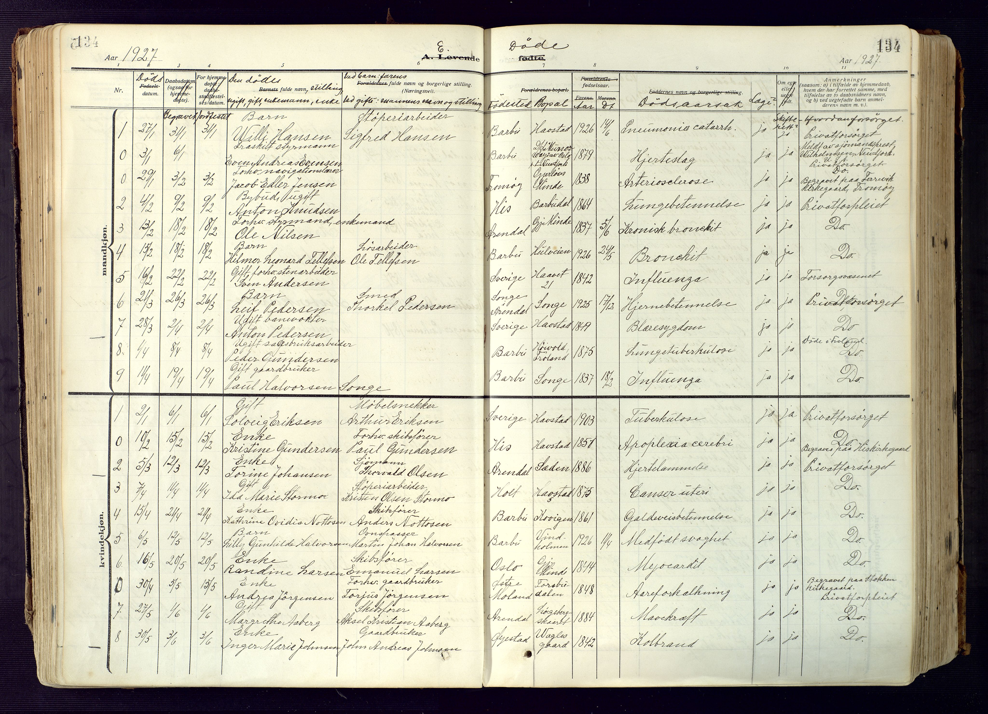 Barbu sokneprestkontor, SAK/1111-0003/F/Fa/L0006: Parish register (official) no. A 6, 1910-1929, p. 134