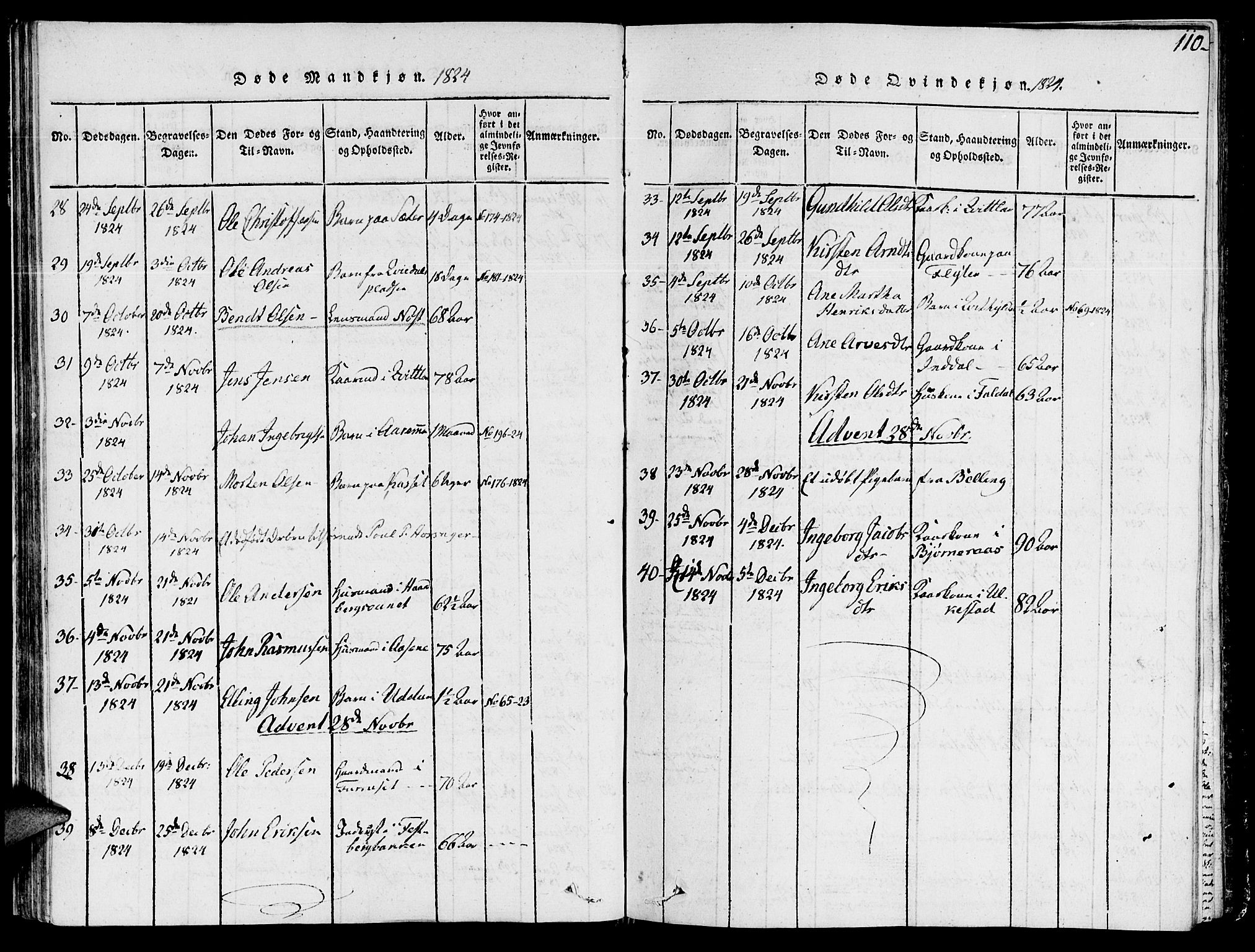 Ministerialprotokoller, klokkerbøker og fødselsregistre - Sør-Trøndelag, AV/SAT-A-1456/646/L0608: Parish register (official) no. 646A06, 1816-1825, p. 110