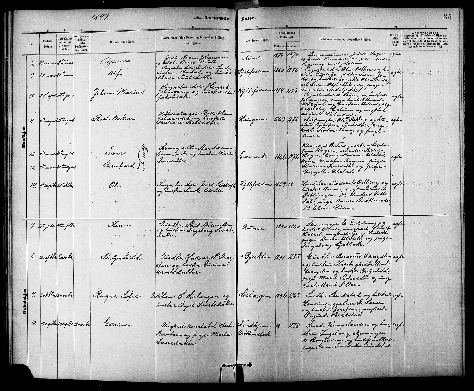 Ministerialprotokoller, klokkerbøker og fødselsregistre - Sør-Trøndelag, SAT/A-1456/618/L0452: Parish register (copy) no. 618C03, 1884-1906, p. 35