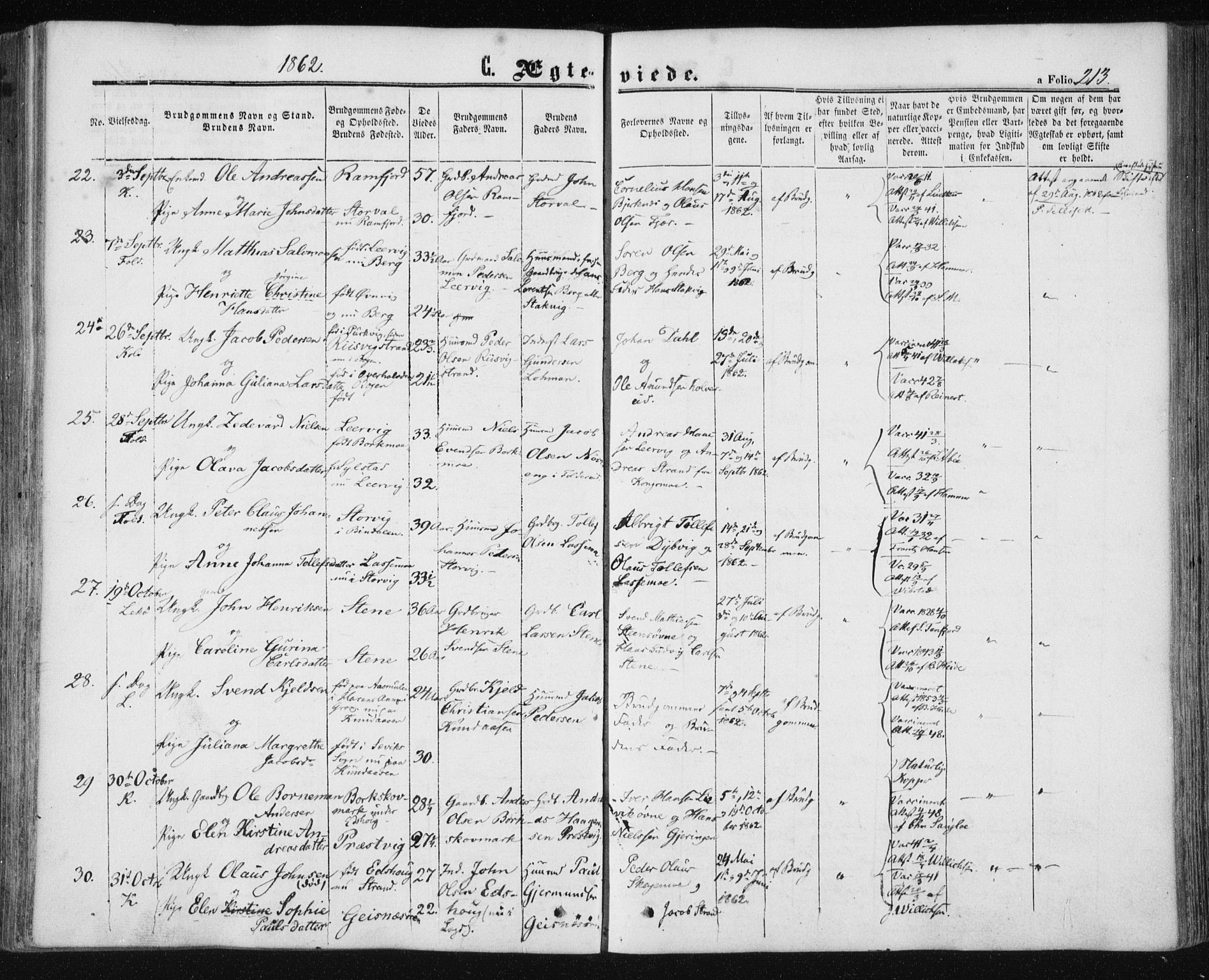 Ministerialprotokoller, klokkerbøker og fødselsregistre - Nord-Trøndelag, AV/SAT-A-1458/780/L0641: Parish register (official) no. 780A06, 1857-1874, p. 213