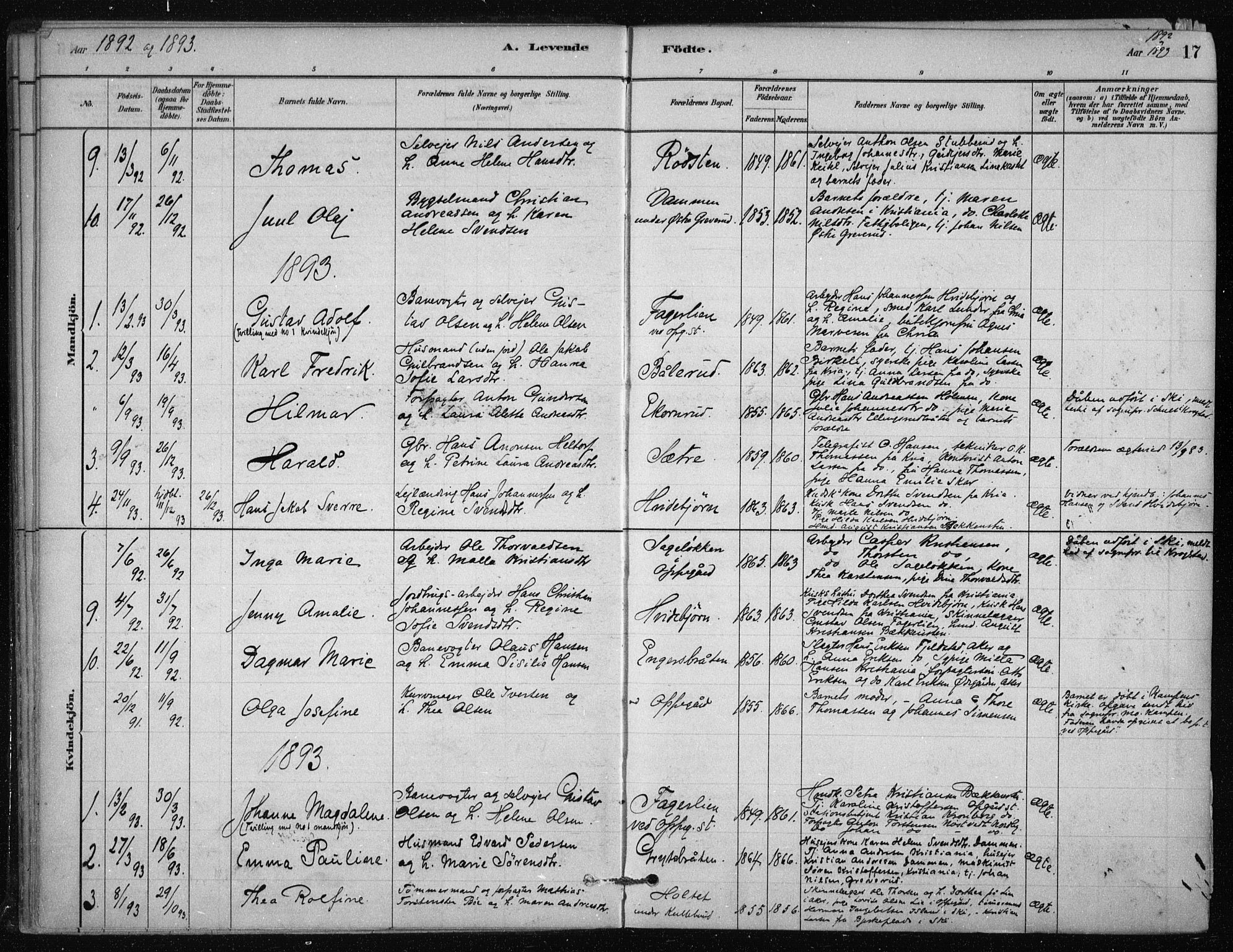 Nesodden prestekontor Kirkebøker, SAO/A-10013/F/Fb/L0001: Parish register (official) no. II 1, 1880-1915, p. 17
