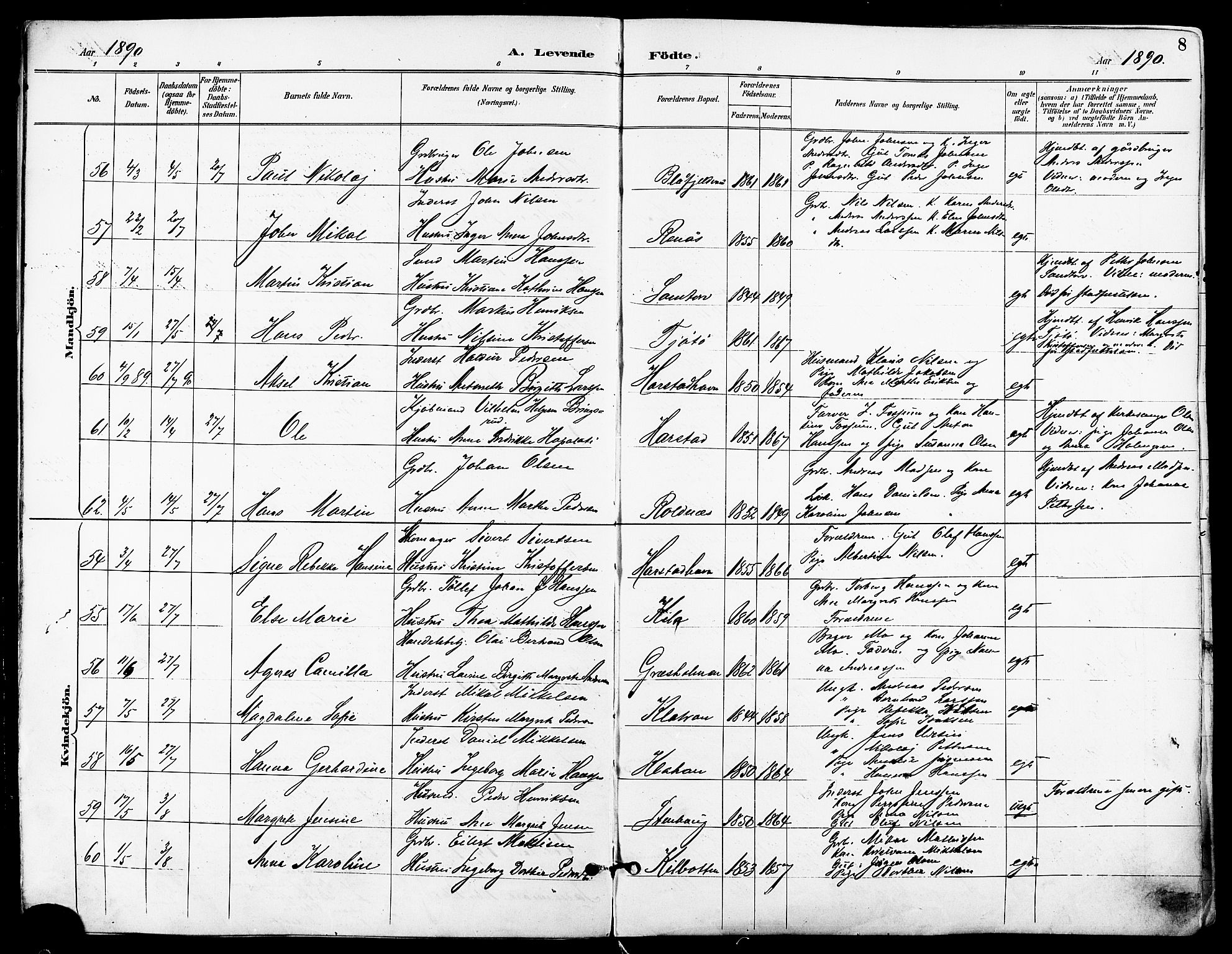 Trondenes sokneprestkontor, SATØ/S-1319/H/Ha/L0016kirke: Parish register (official) no. 16, 1890-1898, p. 8