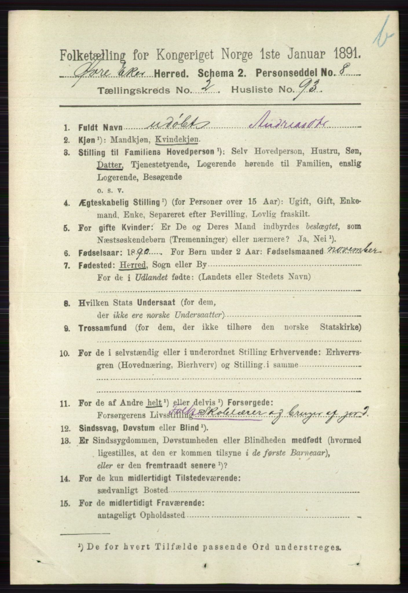 RA, 1891 census for 0624 Øvre Eiker, 1891, p. 8991