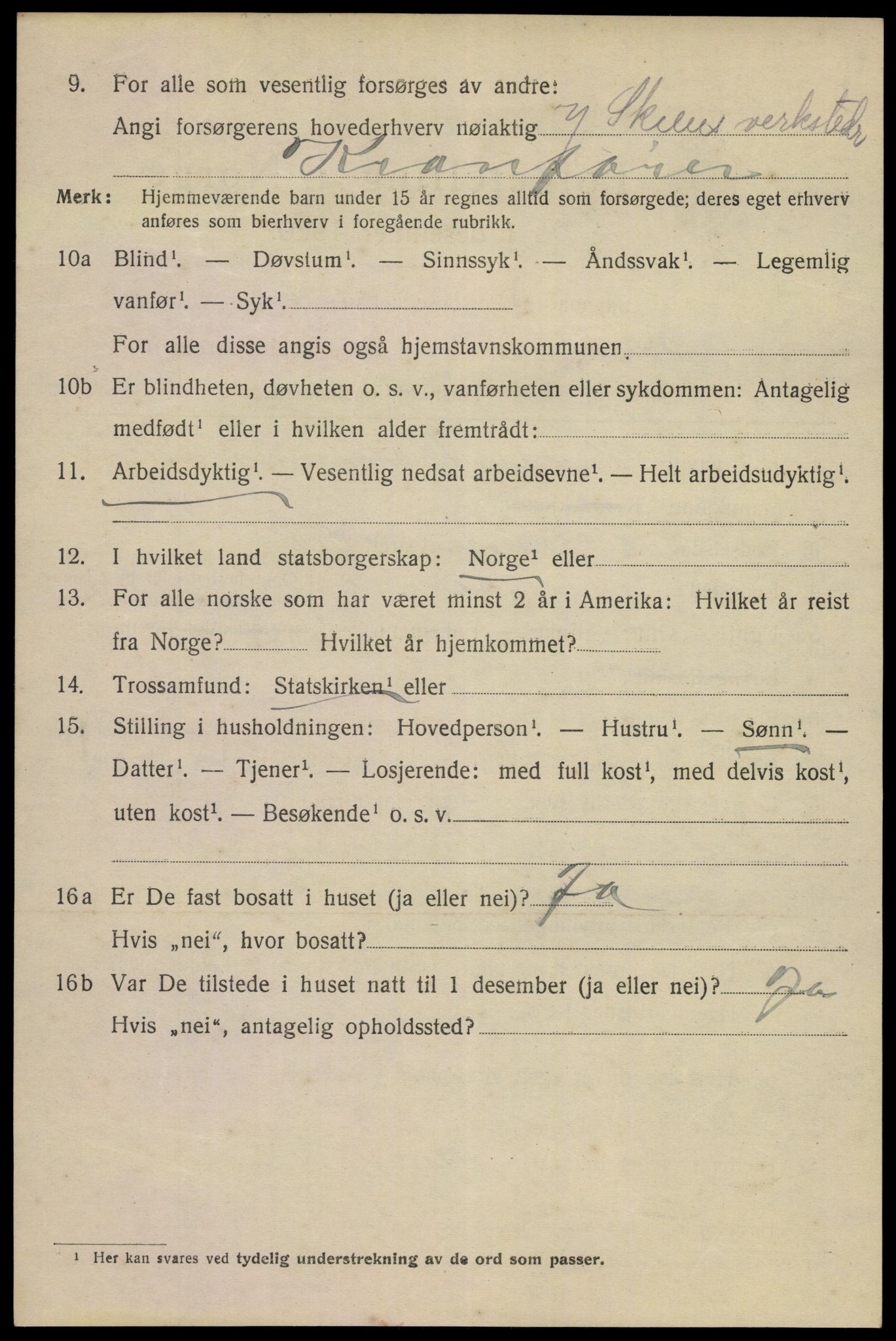 SAKO, 1920 census for Porsgrunn, 1920, p. 8200