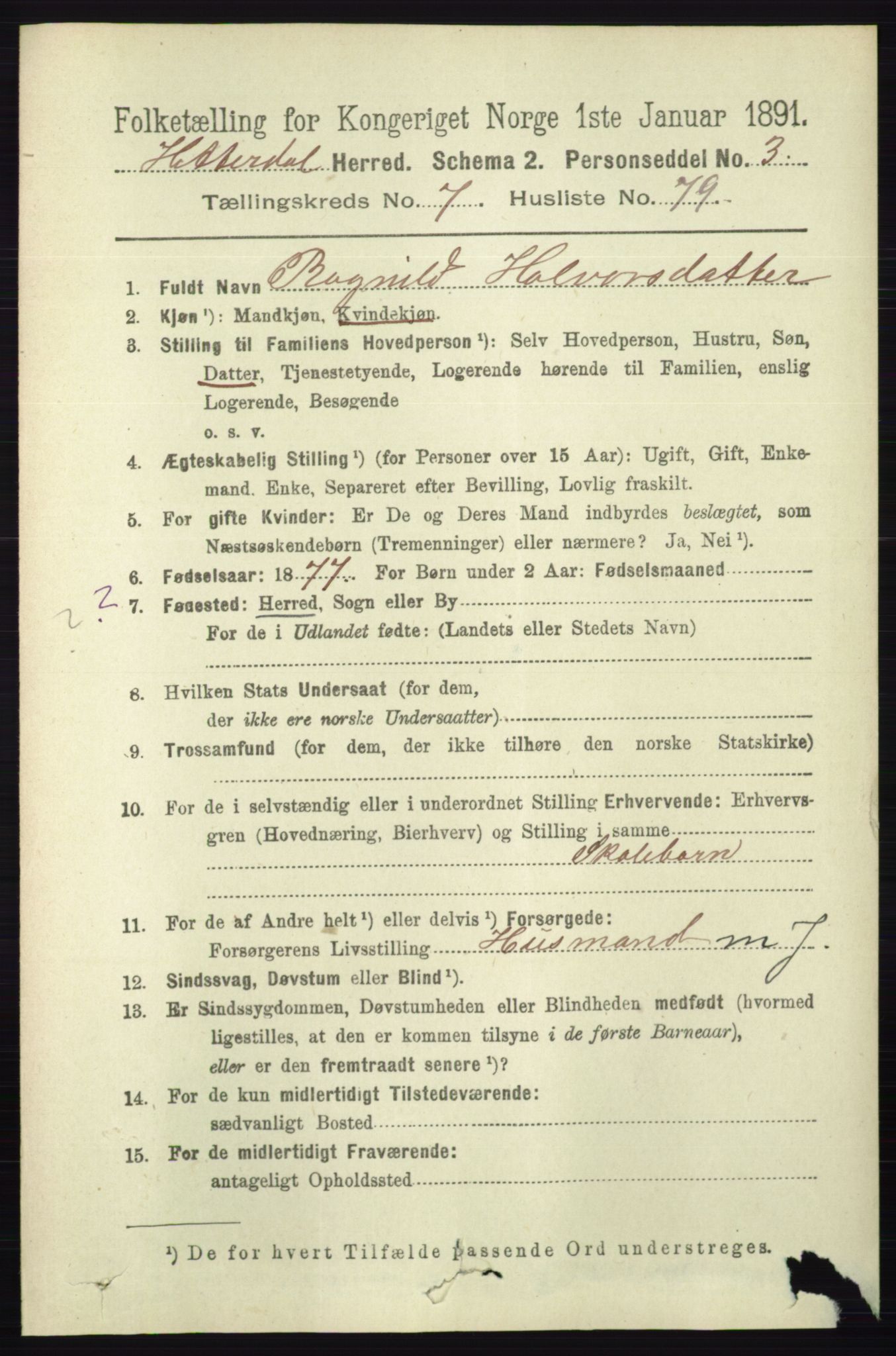 RA, 1891 census for 0823 Heddal, 1891, p. 3432