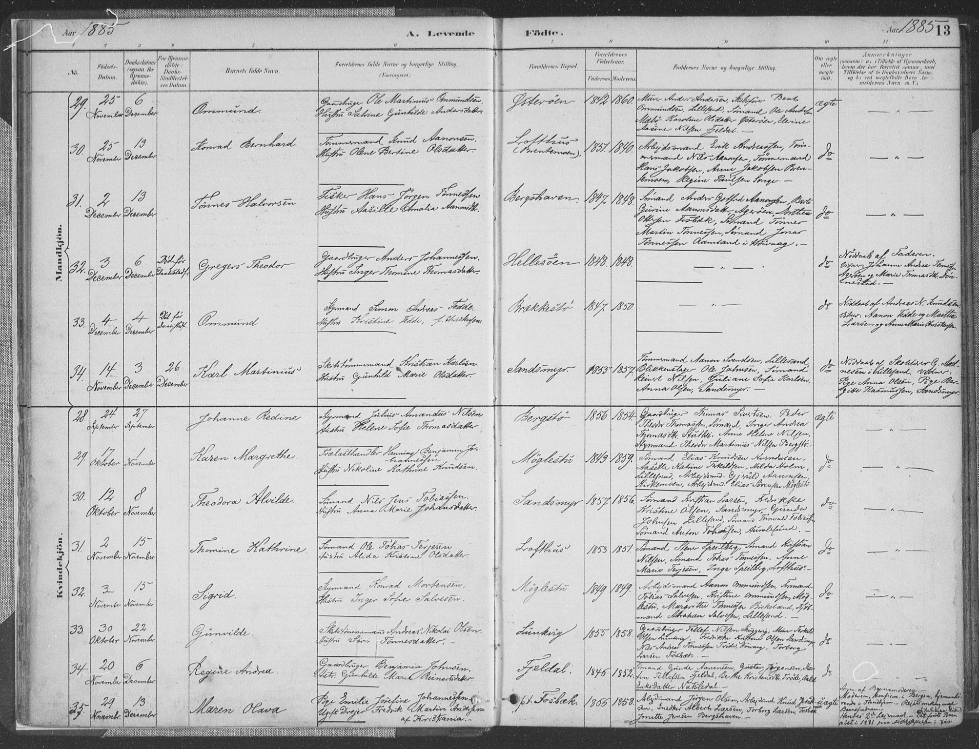 Vestre Moland sokneprestkontor, AV/SAK-1111-0046/F/Fa/Fab/L0009: Parish register (official) no. A 9, 1884-1899, p. 13