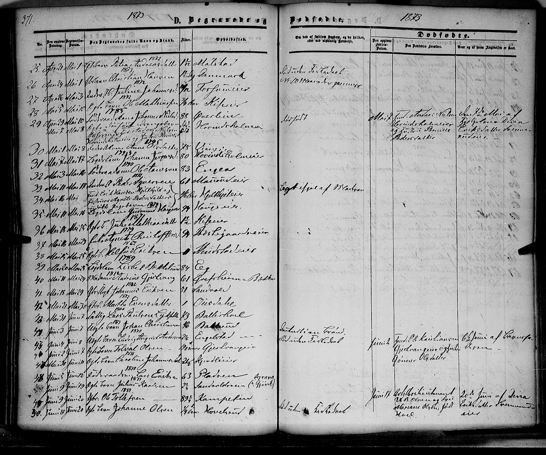 Nes prestekontor, Hedmark, SAH/PREST-020/K/Ka/L0004: Parish register (official) no. 4, 1852-1886, p. 371