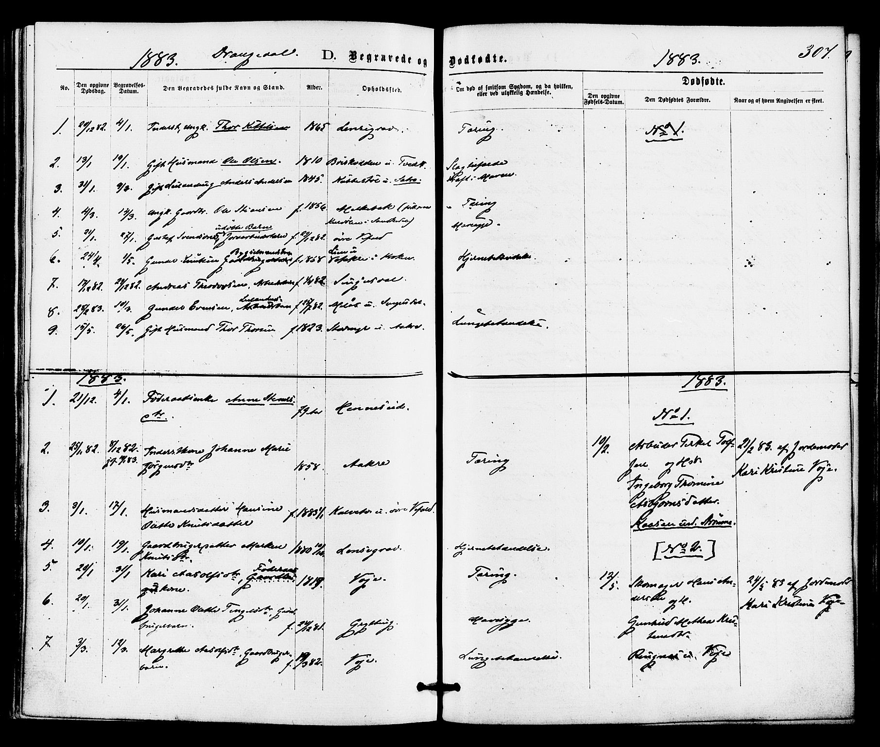 Drangedal kirkebøker, SAKO/A-258/F/Fa/L0009: Parish register (official) no. 9 /1, 1872-1884, p. 307