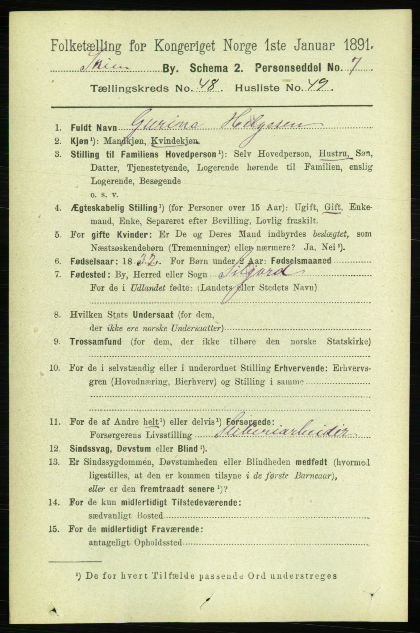 RA, 1891 census for 0806 Skien, 1891, p. 10266