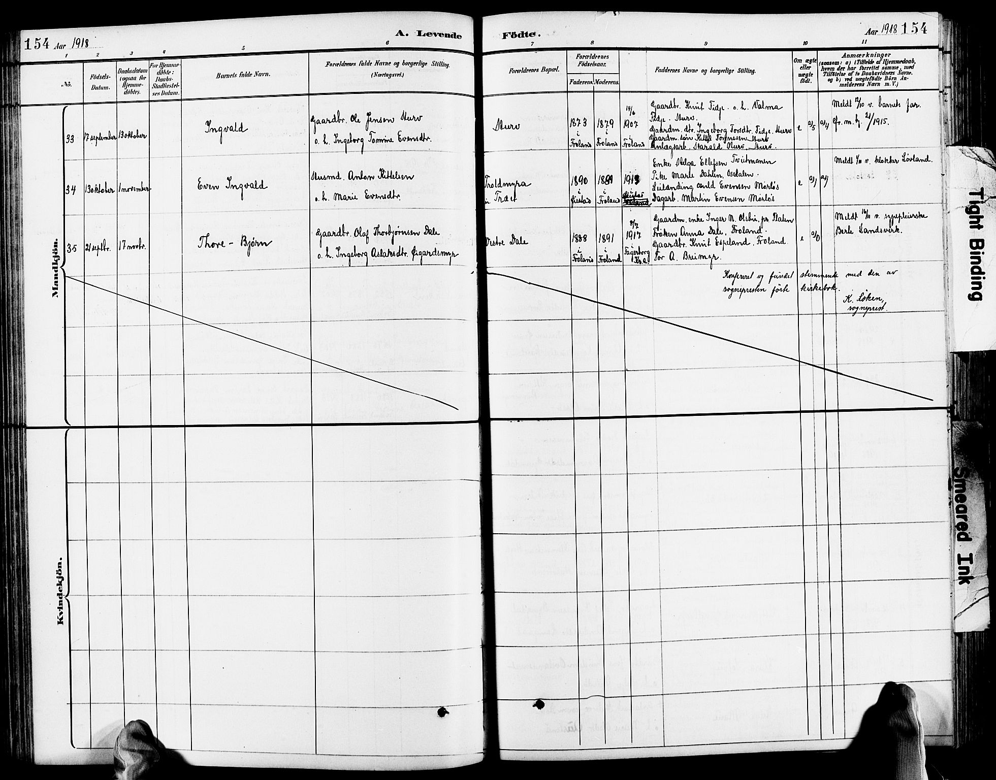 Froland sokneprestkontor, SAK/1111-0013/F/Fb/L0010: Parish register (copy) no. B 10, 1893-1920, p. 154