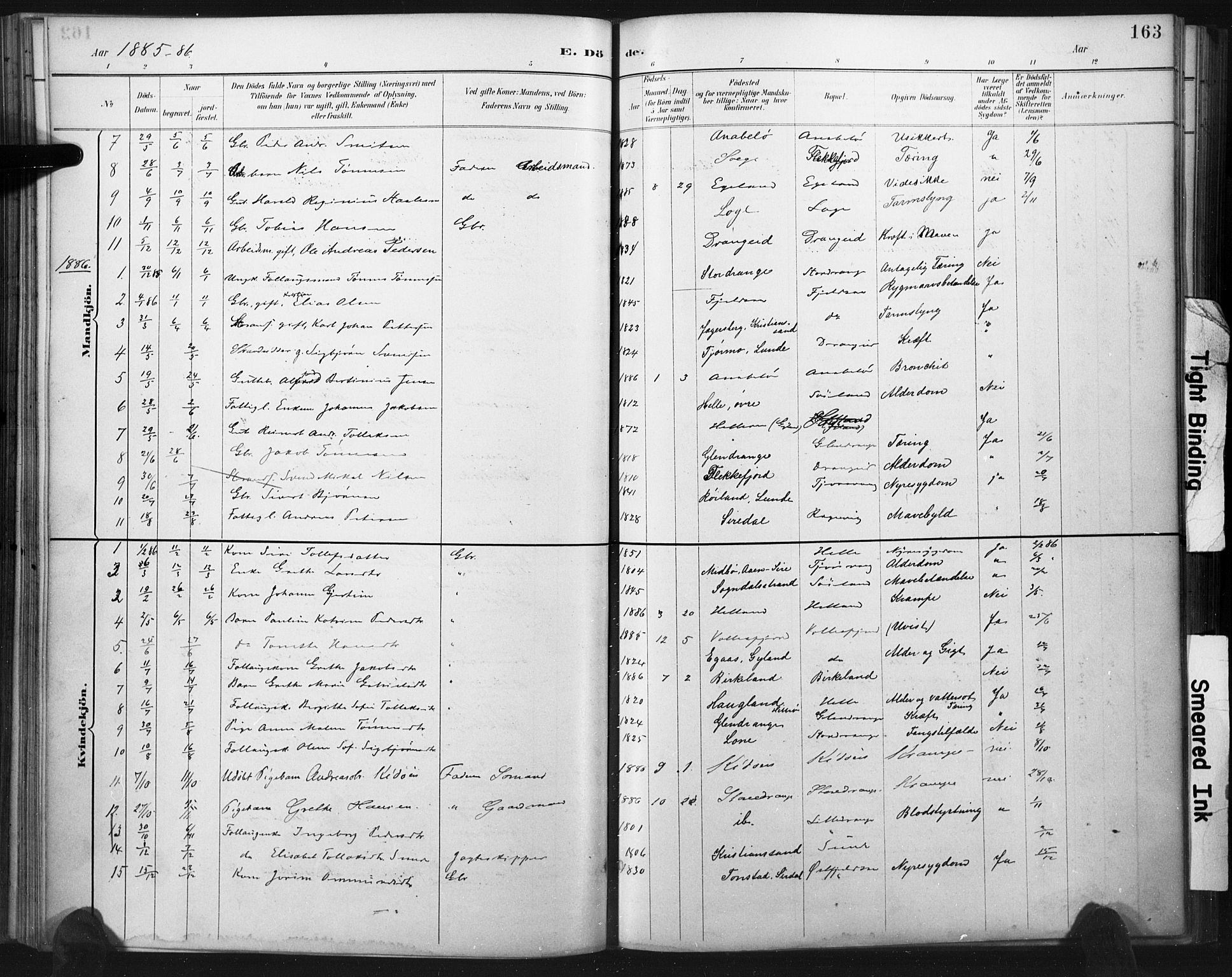 Flekkefjord sokneprestkontor, SAK/1111-0012/F/Fa/Fac/L0008: Parish register (official) no. A 8, 1885-1898, p. 163