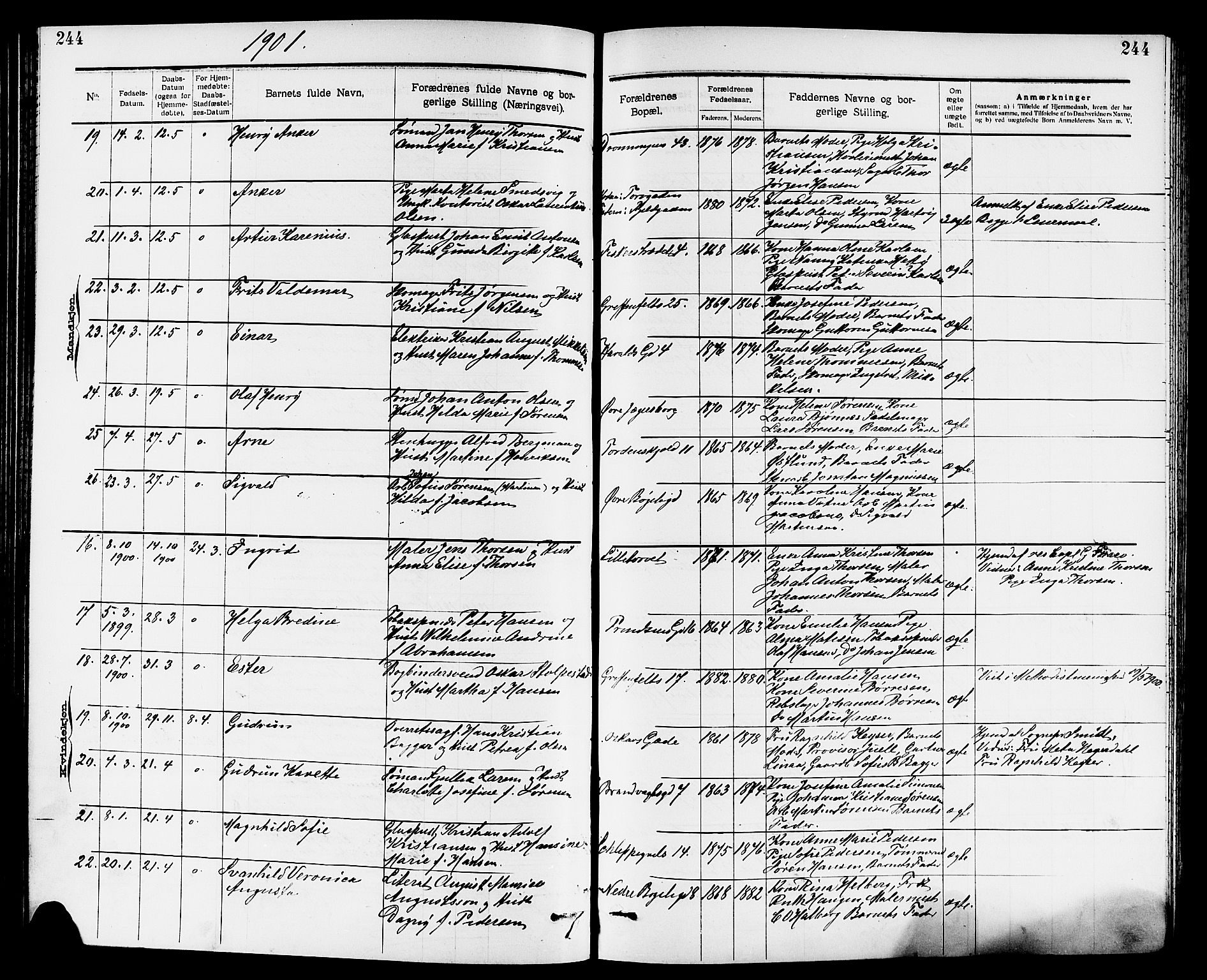 Larvik kirkebøker, SAKO/A-352/G/Ga/L0005: Parish register (copy) no. I 5, 1888-1909, p. 244
