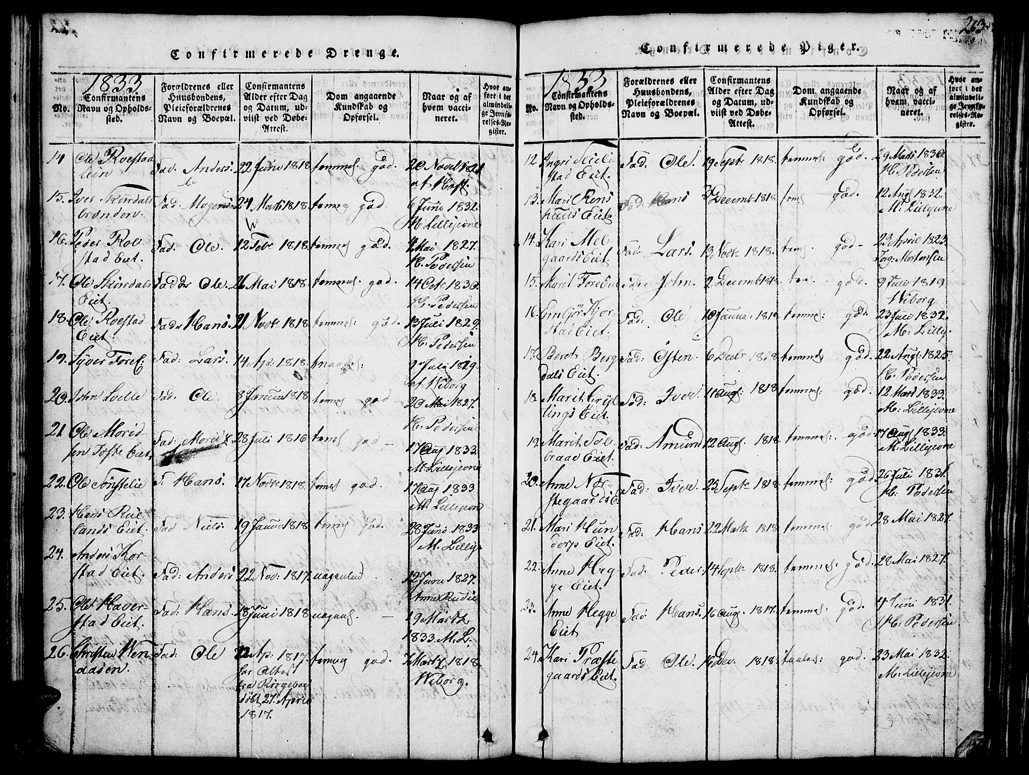 Fron prestekontor, SAH/PREST-078/H/Ha/Hab/L0001: Parish register (copy) no. 1, 1816-1843, p. 263