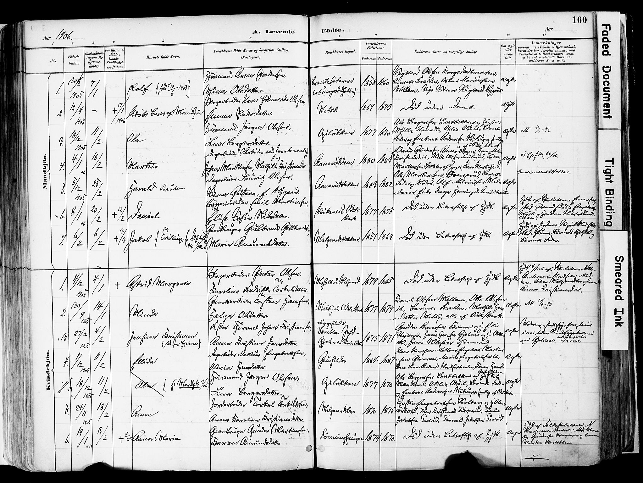 Sør-Odal prestekontor, AV/SAH-PREST-030/H/Ha/Haa/L0006: Parish register (official) no. 6, 1886-1931, p. 160